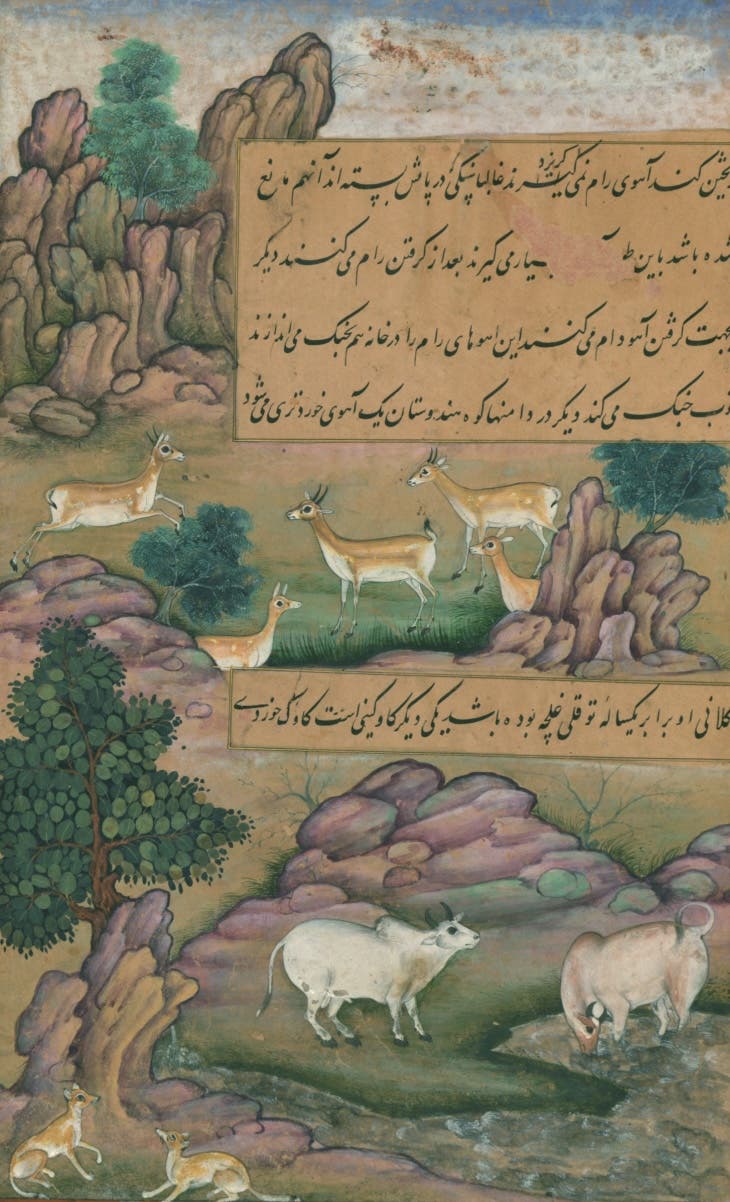 Eine kunstvolle Illustration zeigt eine Landschaft mit mehreren Tieren, darunter Rehe und Schafe, die in einer felsigen Umgebung grasen. Die Szene ist von Bäumen und Hügeln umgeben. Oberhalb der Tiere sind kalligrafische Textelemente in einer dekorativen Schrift zu sehen. Die Farben sind lebendig und die Details fein ausgearbeitet, was der Abbildung eine historische und kulturelle Tiefe verleiht.