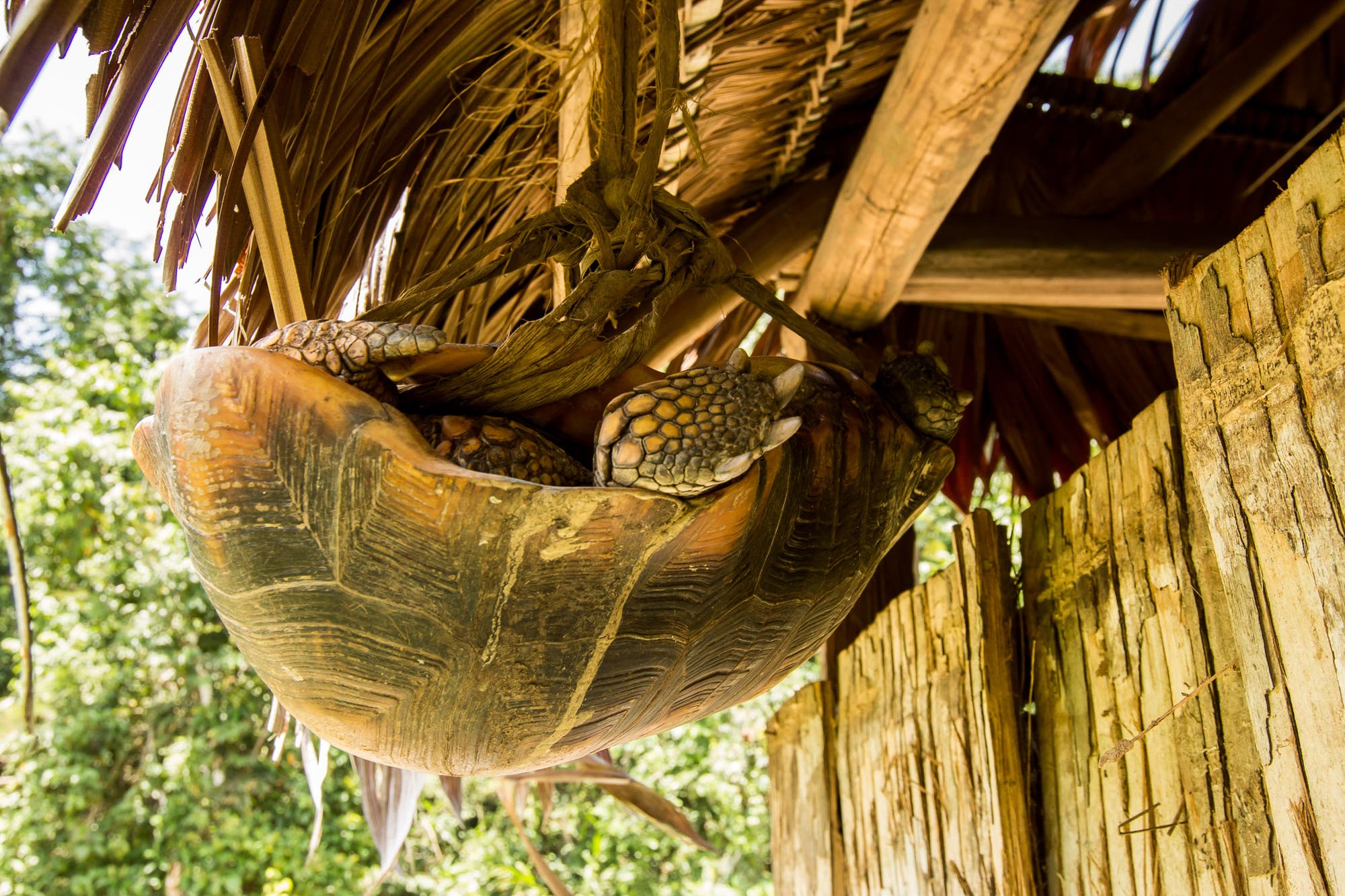 Schildkröte hängt als Abendessen vor einer Hütte