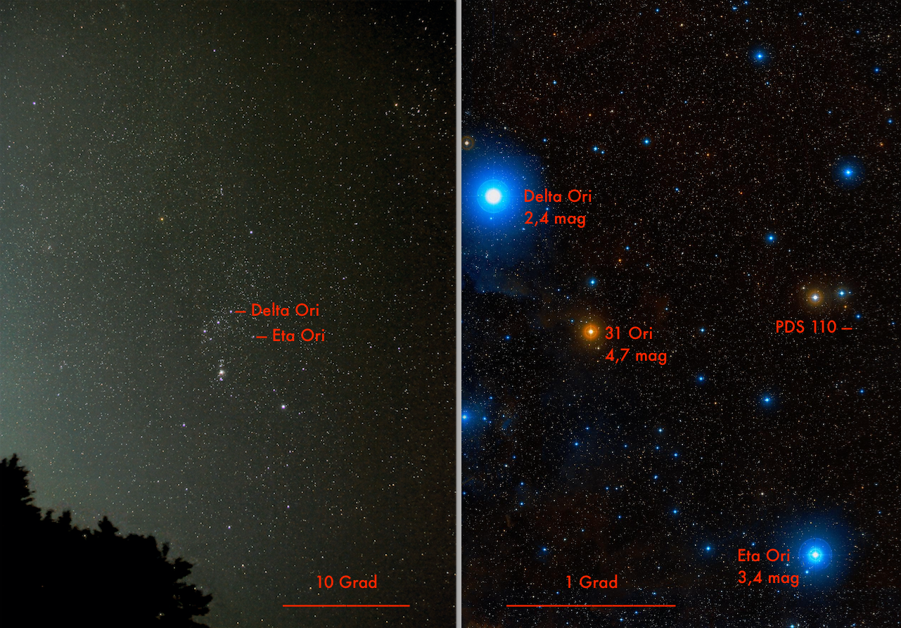 Wo finden Sie den Stern PDS 110 im Orion? (Übersichtsbilder)