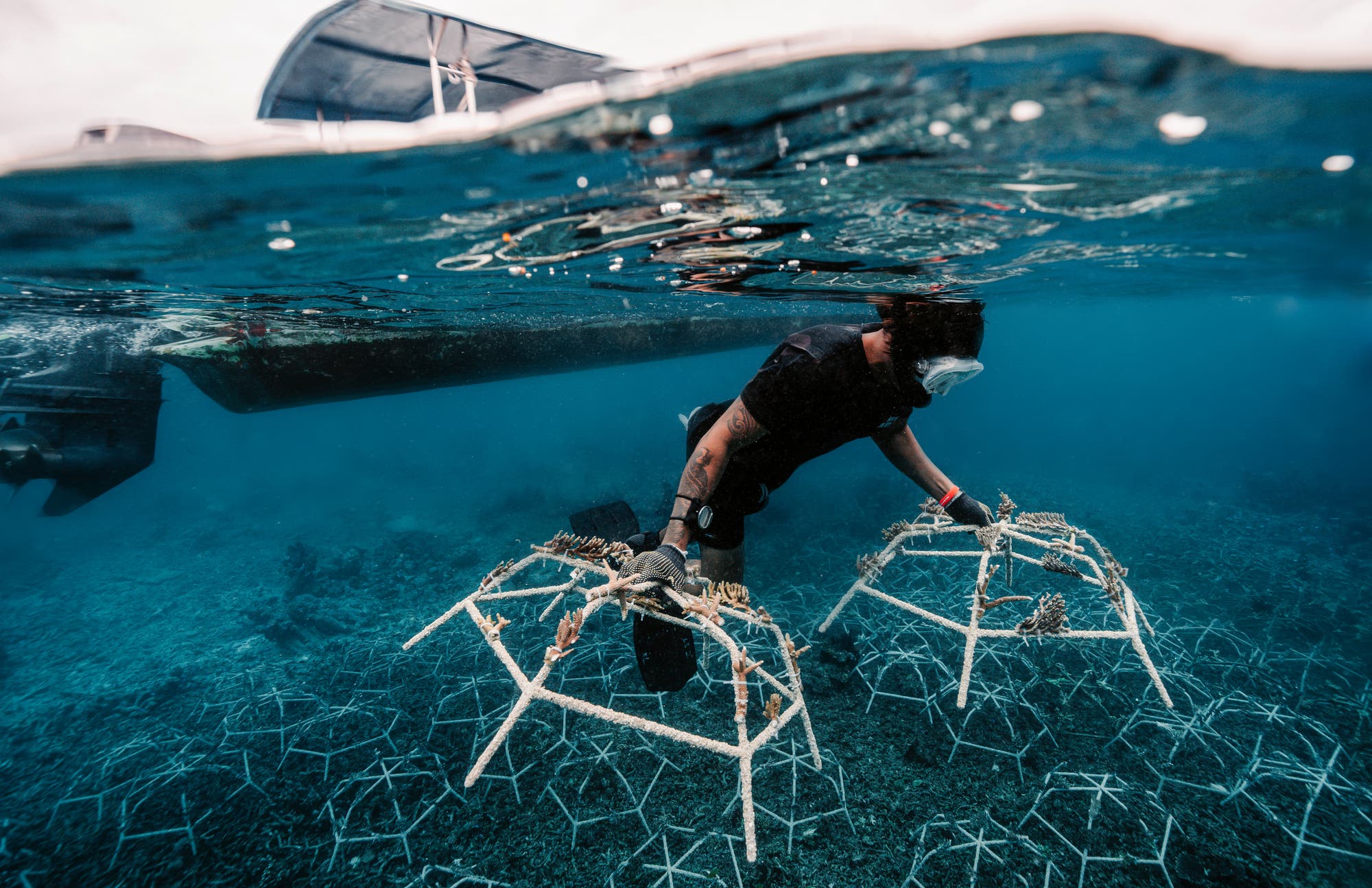 Eine Person in Tauchausrüstung arbeitet unter Wasser an einem Korallenriff-Wiederherstellungsprojekt. Sie platziert metallene Strukturen mit Korallenfragmenten auf dem Meeresboden. Im Hintergrund ist ein Boot an der Wasseroberfläche zu sehen, am Boden zahlreiche der Metallkonstruktionen.