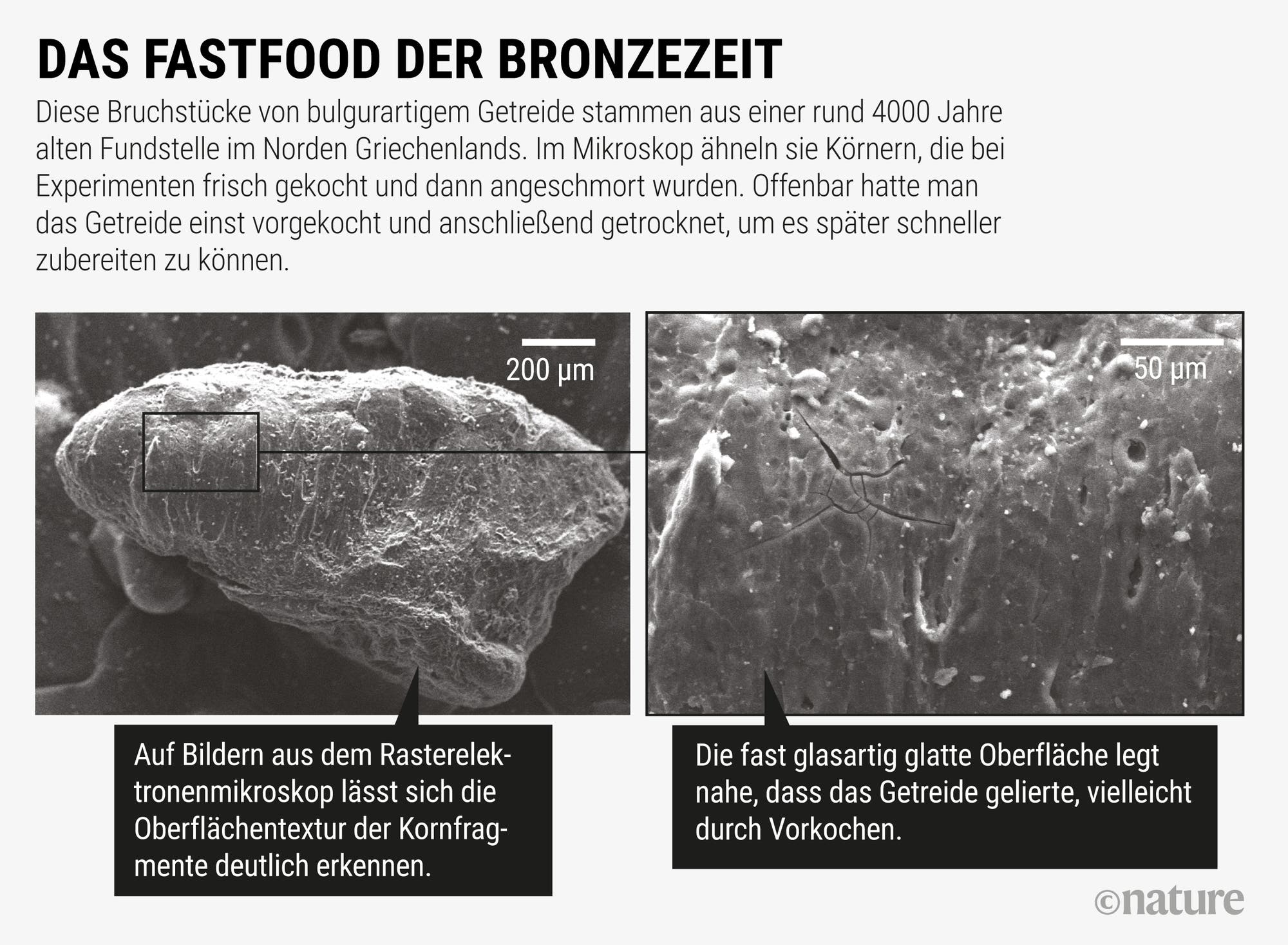 Das Fastfood der Bronzezeit