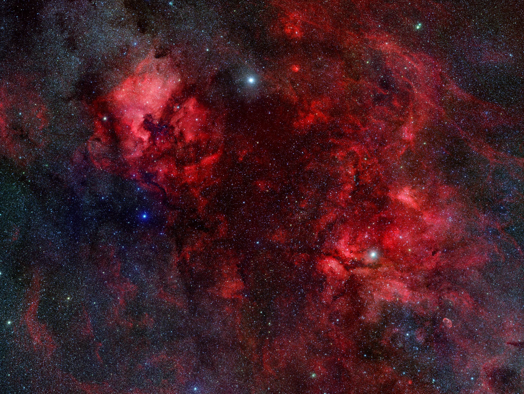 Der Cygnus-Nebelkomplex im Sternbild Schwan (Übersichtsbild)