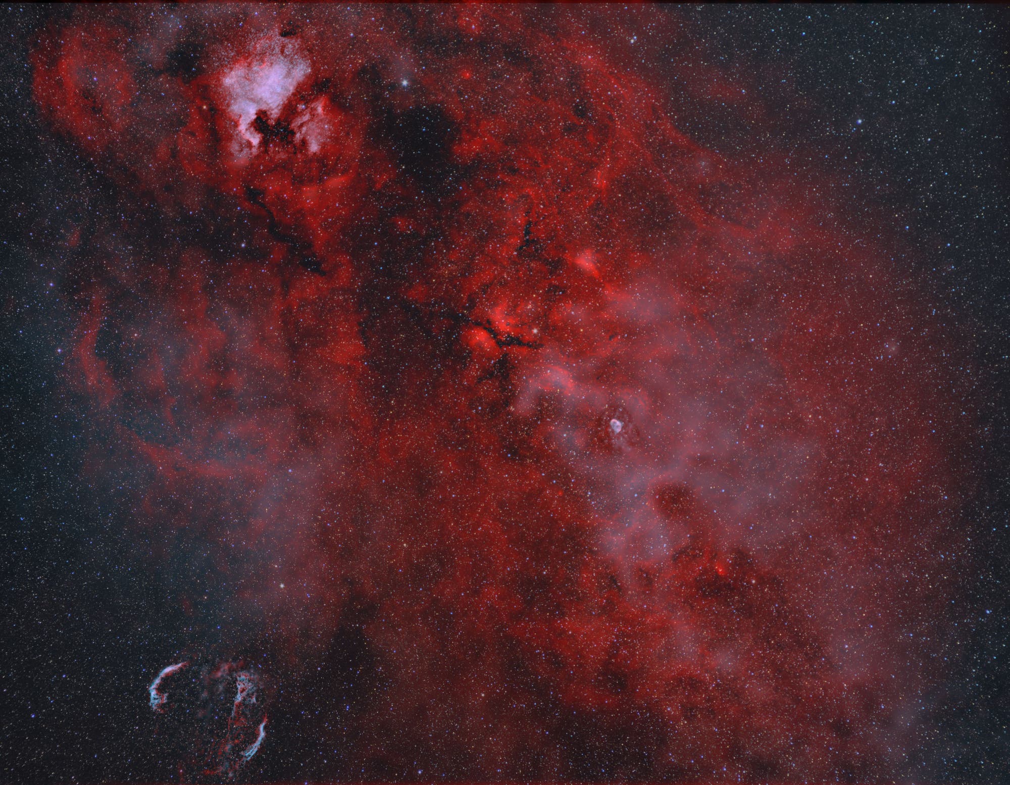Bild des Cygnus-Nebelkomplexes