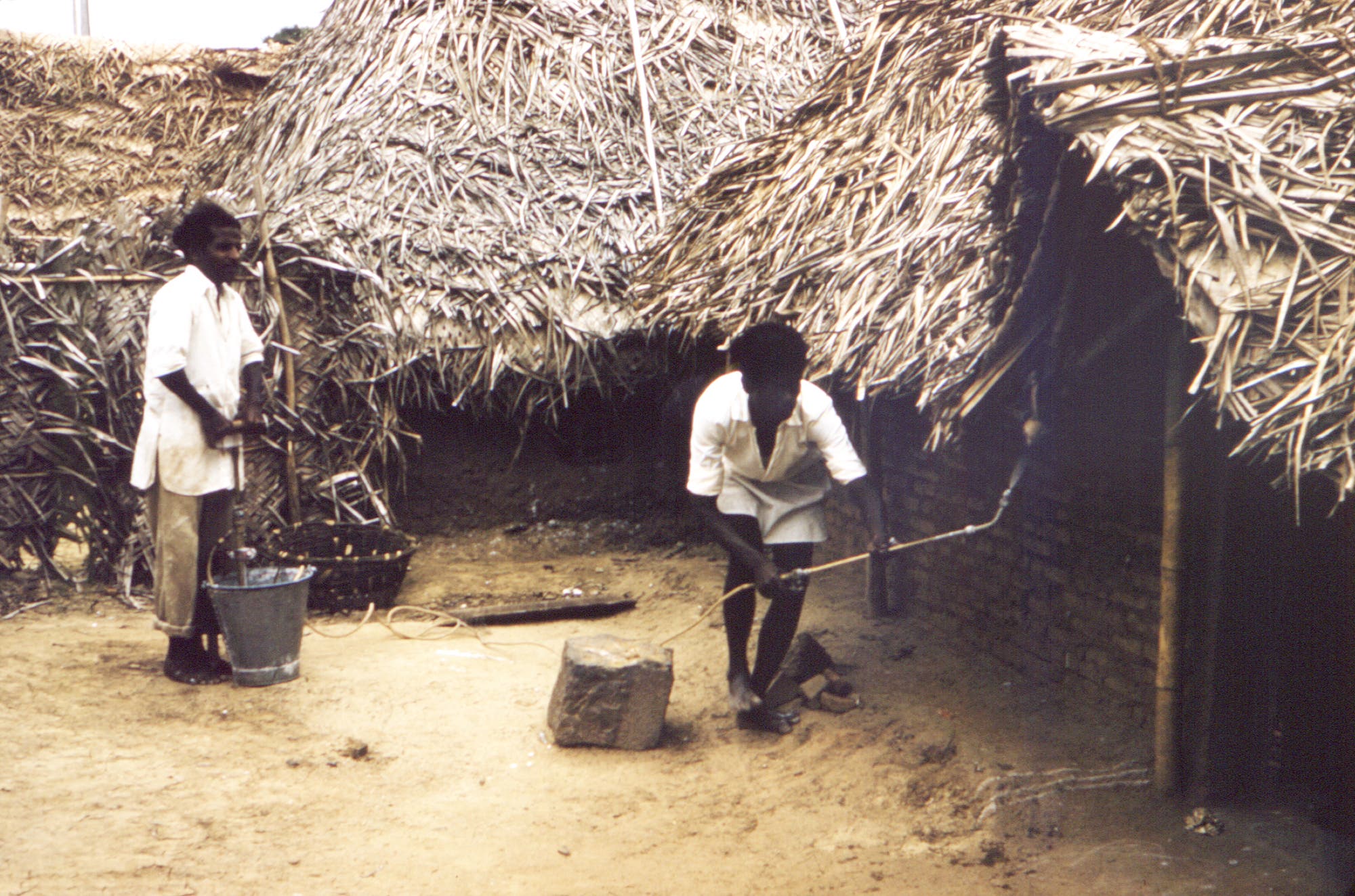 DDT-Einsatz in einem indischen Dorf