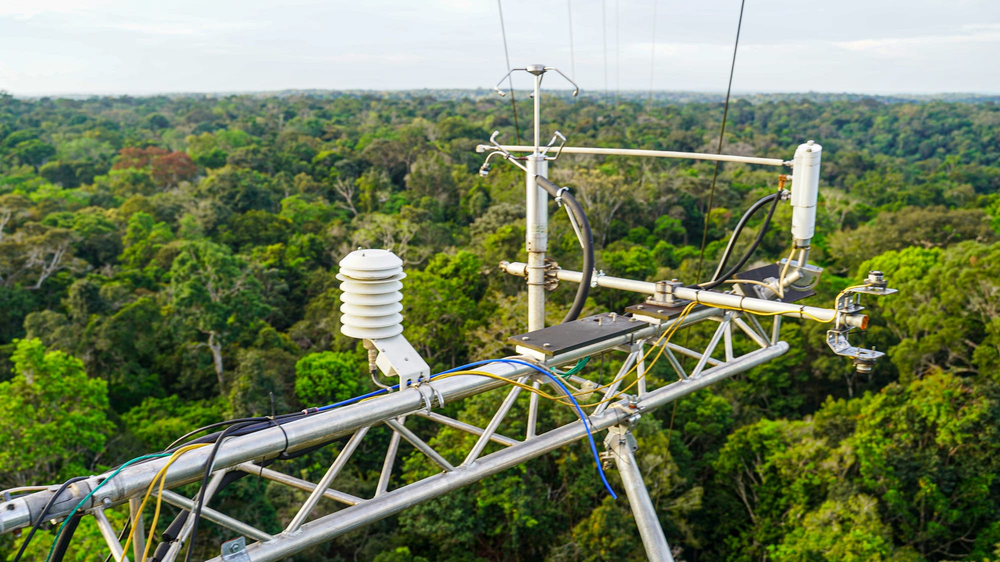 Blick über einem Messausleger auf den Amazonas-Regenwald.