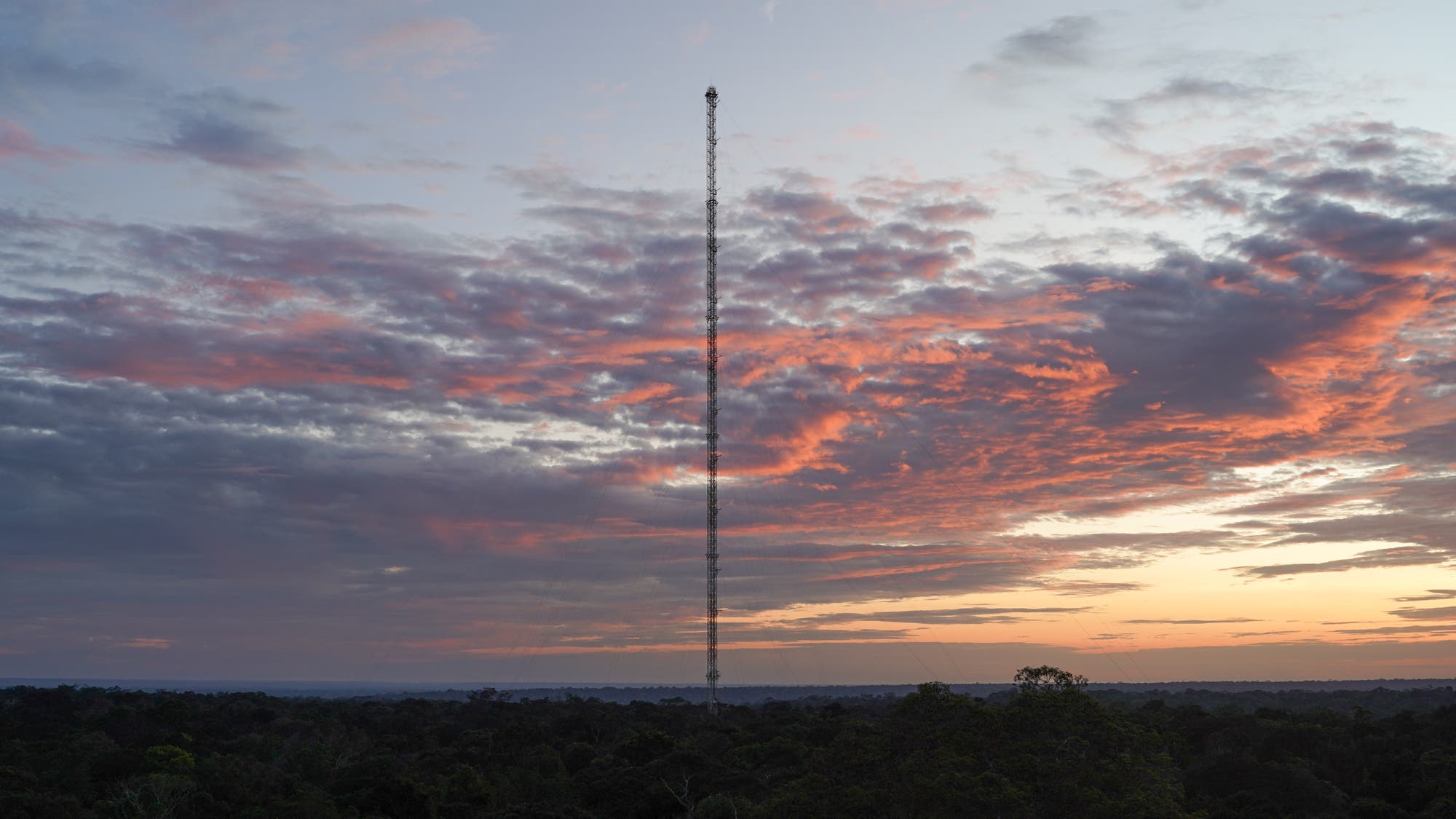 Blick über den Regenwald auf den sehr hohen Turm des ATTO bei Sonnenuntergang, lila- und rosafarbene Wolken, rechts ist es noch hell.