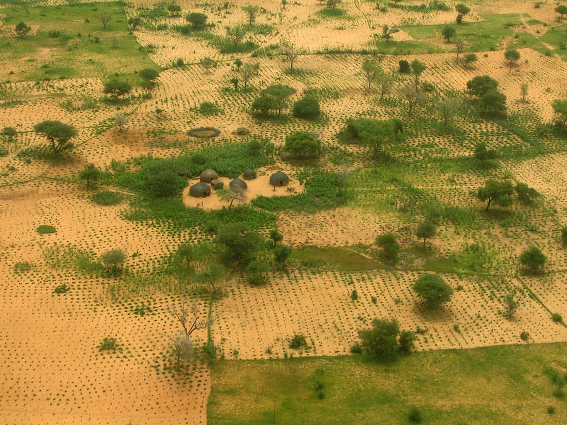 FMNR-Maßnahmen rund um ein Dorf in Niger