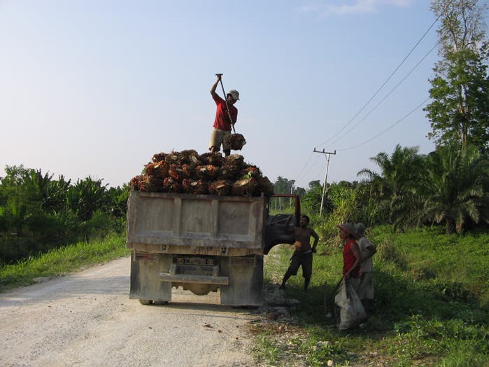 Landarbeiter in Papua