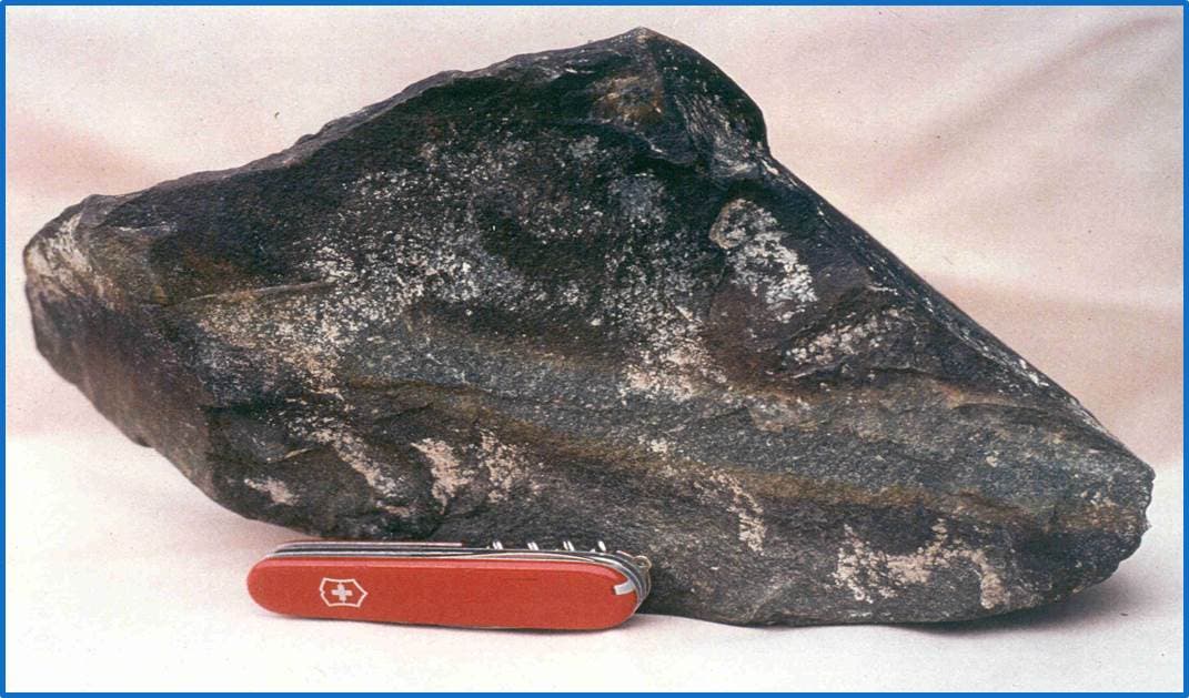 Ein dunkler, unregelmäßig geformter Stein mit einem grauen Band in der Mitte. 