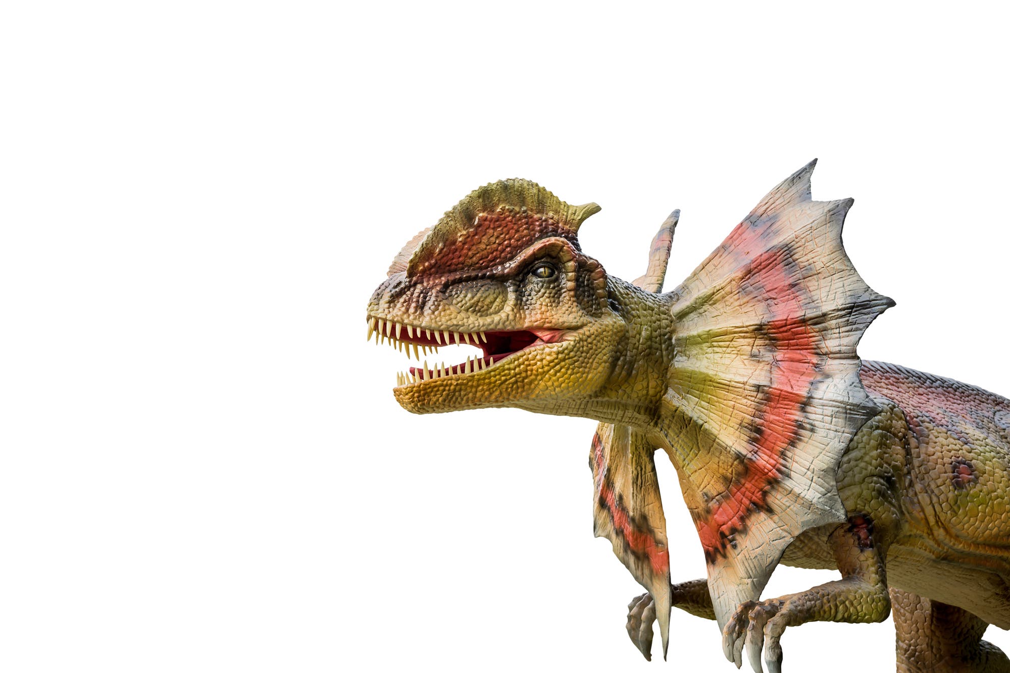 Dilophosaurus lebte nach jetziger Kenntnis im Jura vor etwa 195 Millionen Jahren.
