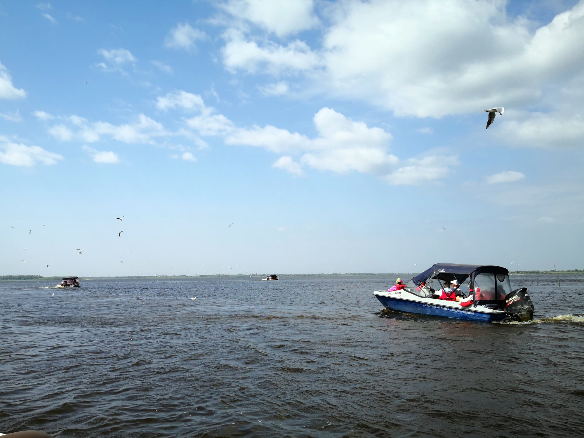 Schnellboote im Donaudelta