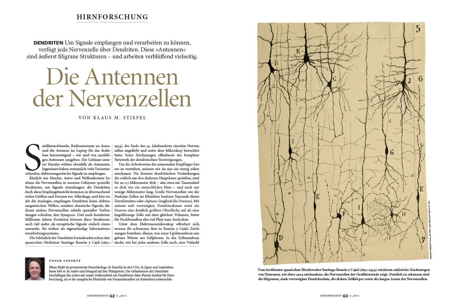 Gehirn&Geist – Das Magazin für Psychologie, Hirnforschung und Medizin