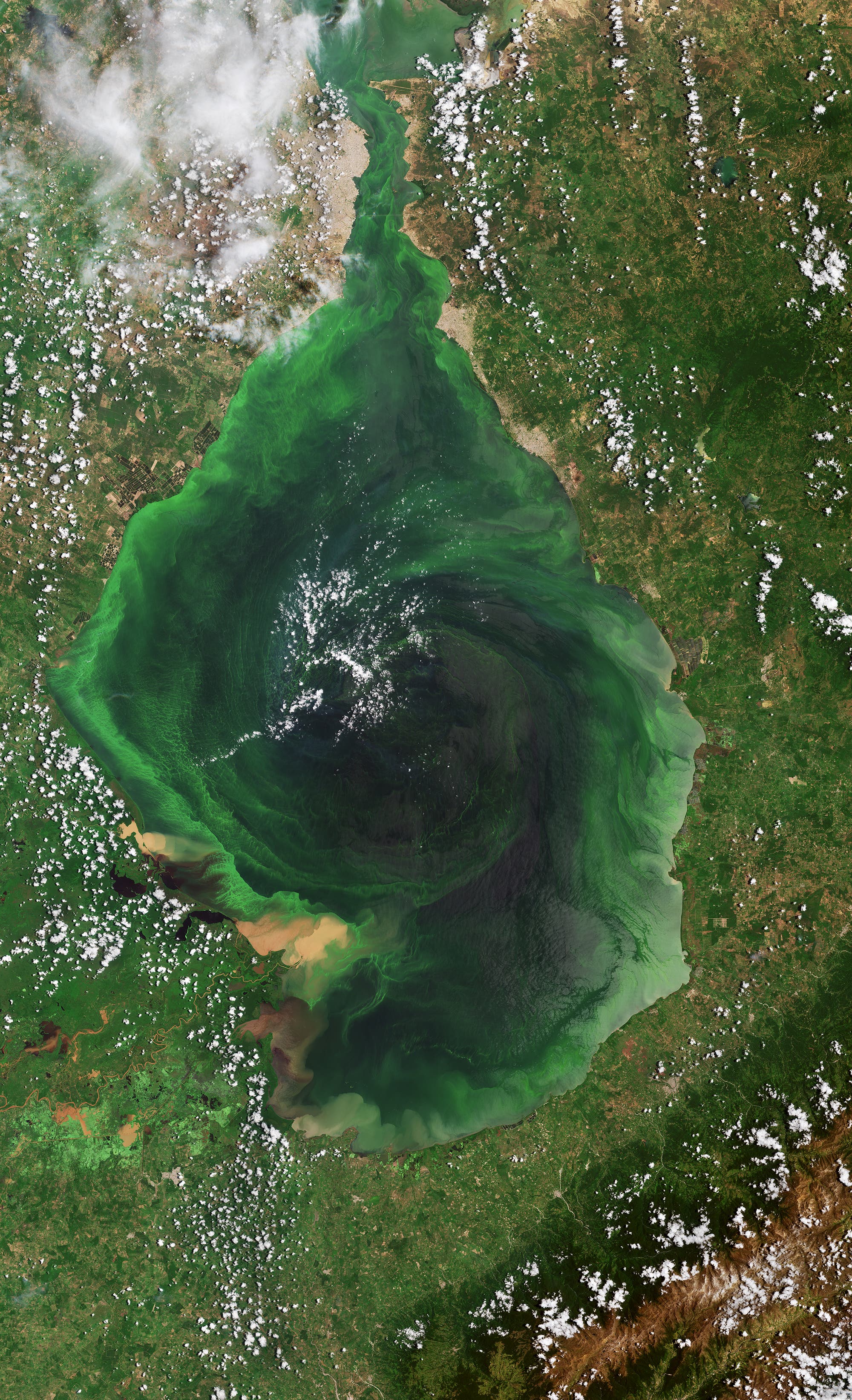 Der Maracaibo-See in Venezuela in einem Satellitenbild im August 2023.