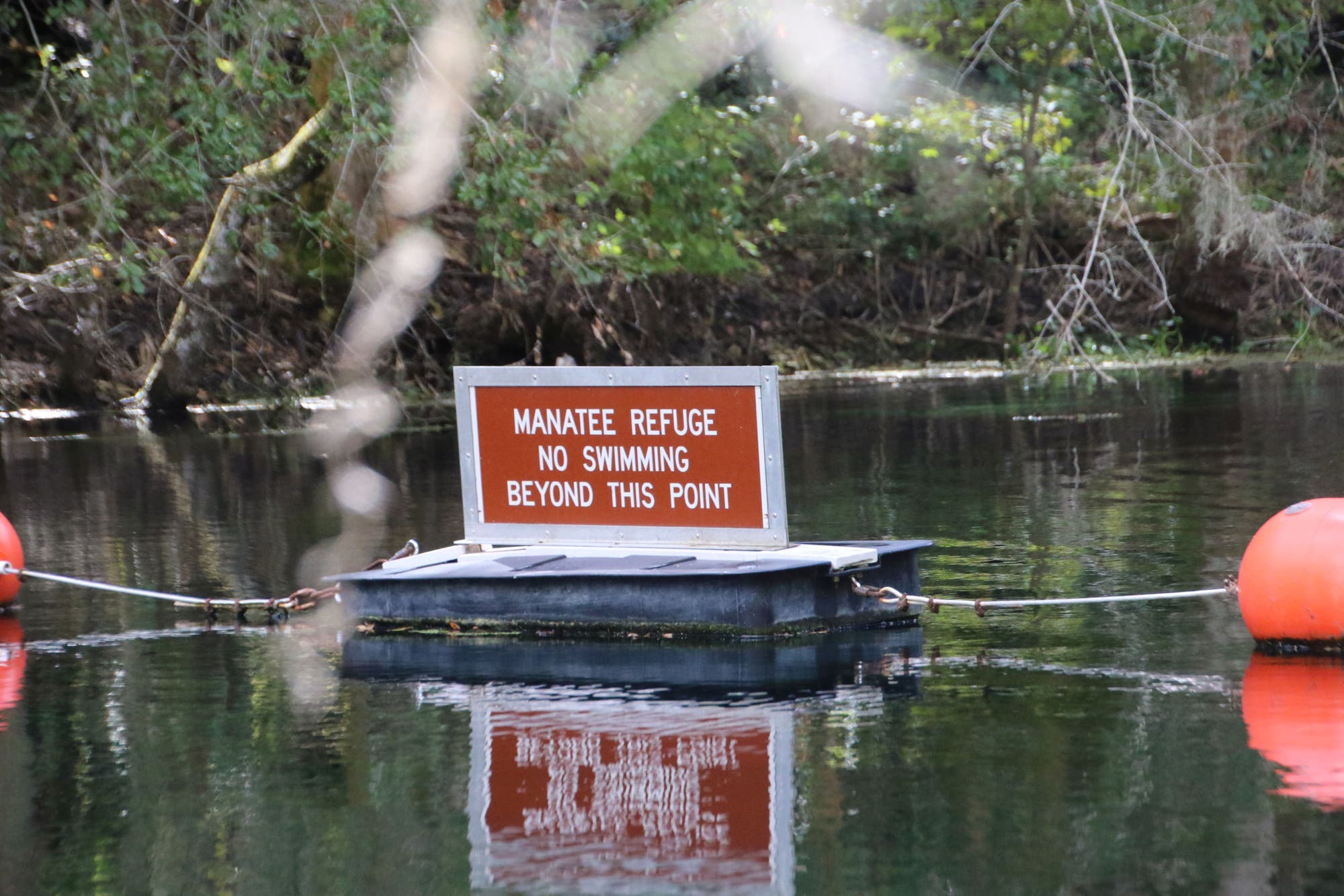 Schild im Wasser mit der Aufschrift: »Manatee refuge. No swimming beyond this point.«