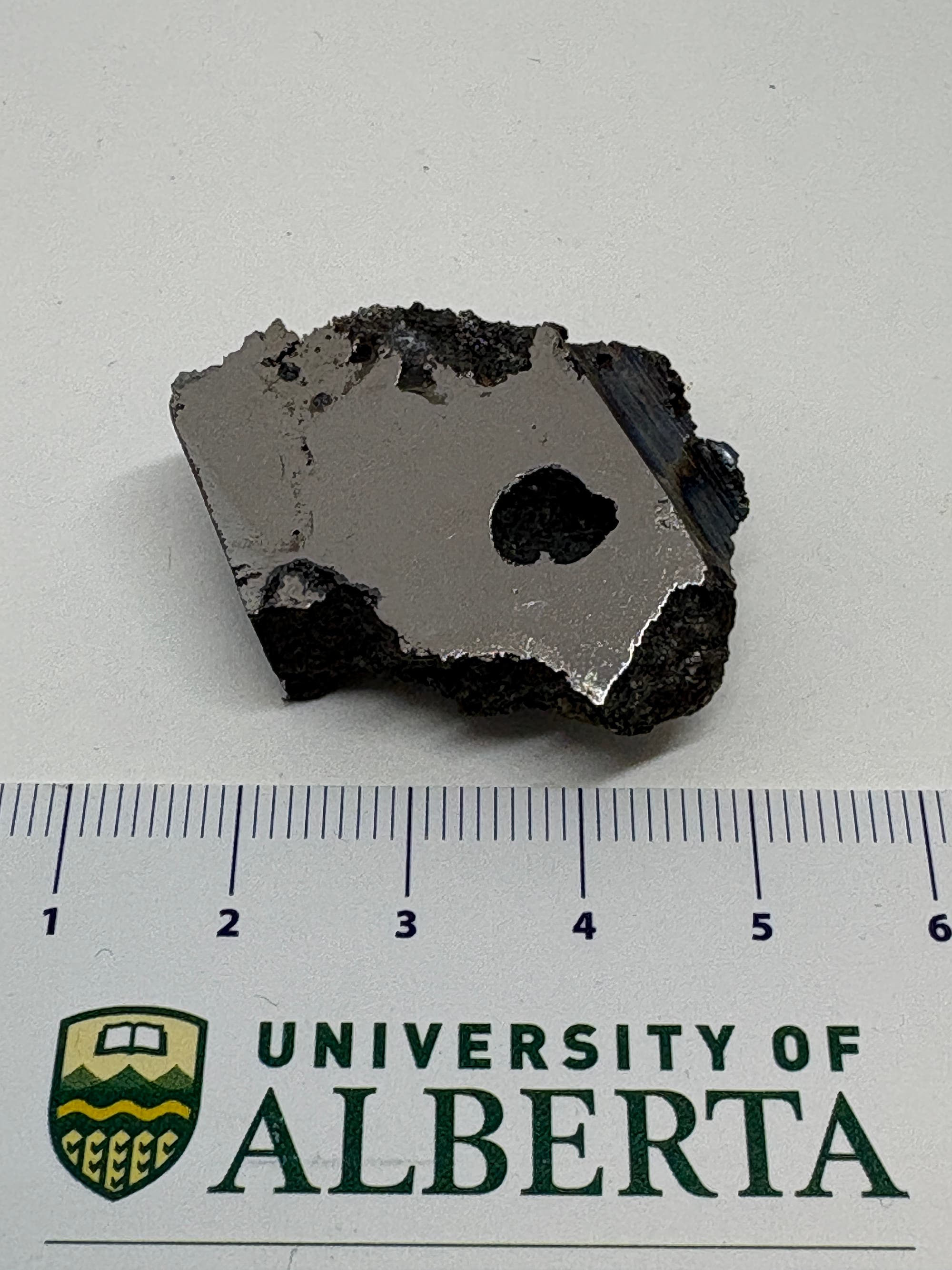 Ein unregelmäßig geformtes, metallisch glänzendes Gesteinsstück liegt auf einer weißen Oberfläche. Rechts daneben befindet sich ein Lineal mit der Aufschrift "UNIVERSITY OF ALBERTA", das eine Größenreferenz bietet. Das Gestein hat eine dunkle, raue Außenseite und eine glatte, silbrig glänzende Fläche.