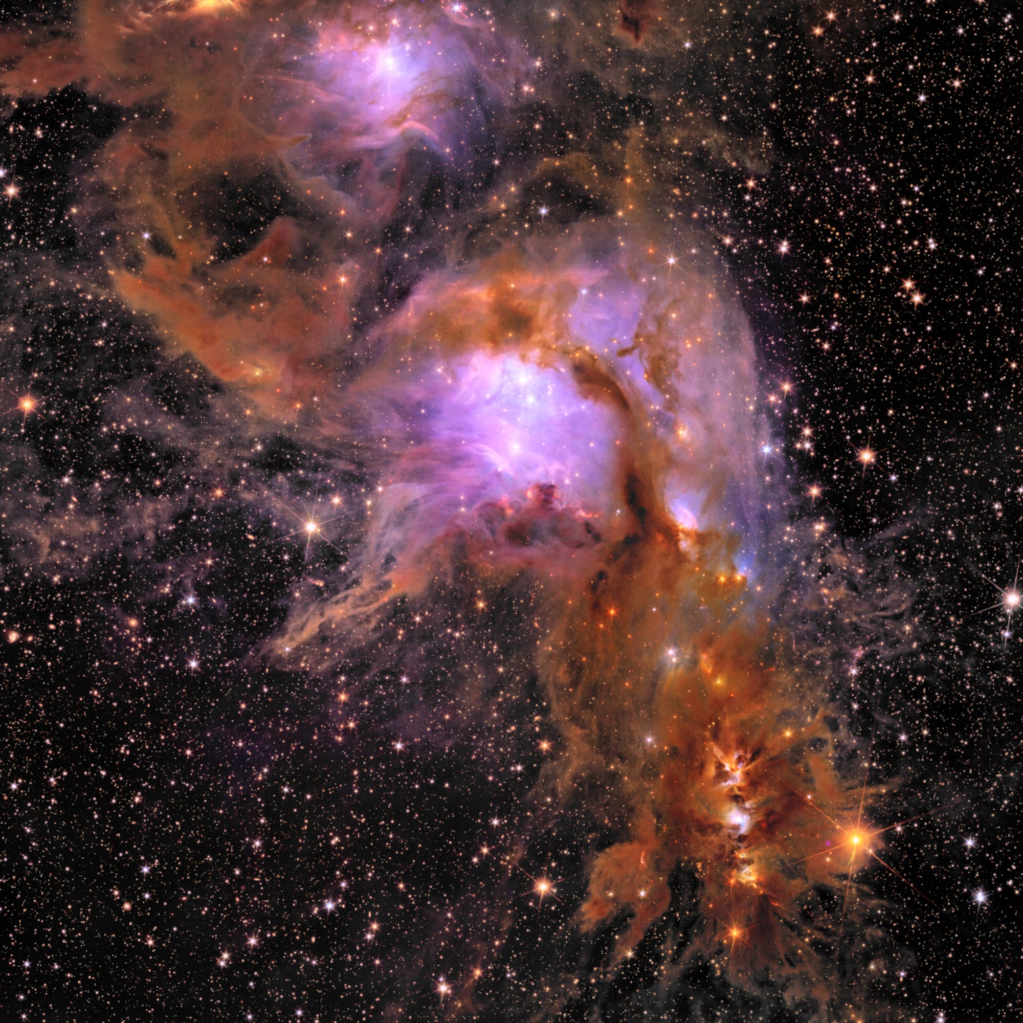 Staubige Schönheit Messier 78