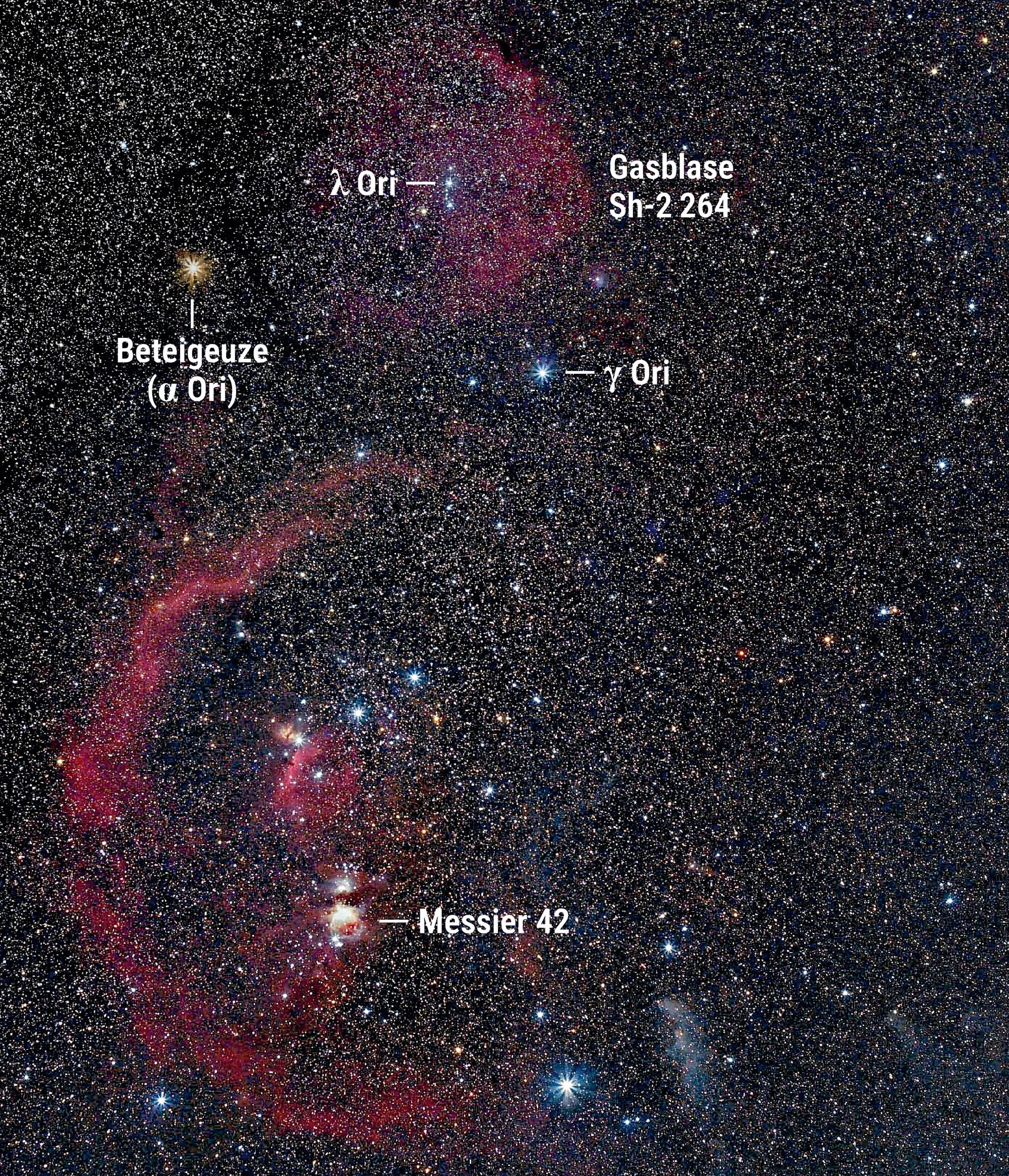 Eine schwach leuchtende Gasblase umgibt den Sternhaufen Collinder 69 im Sternbild Orion.