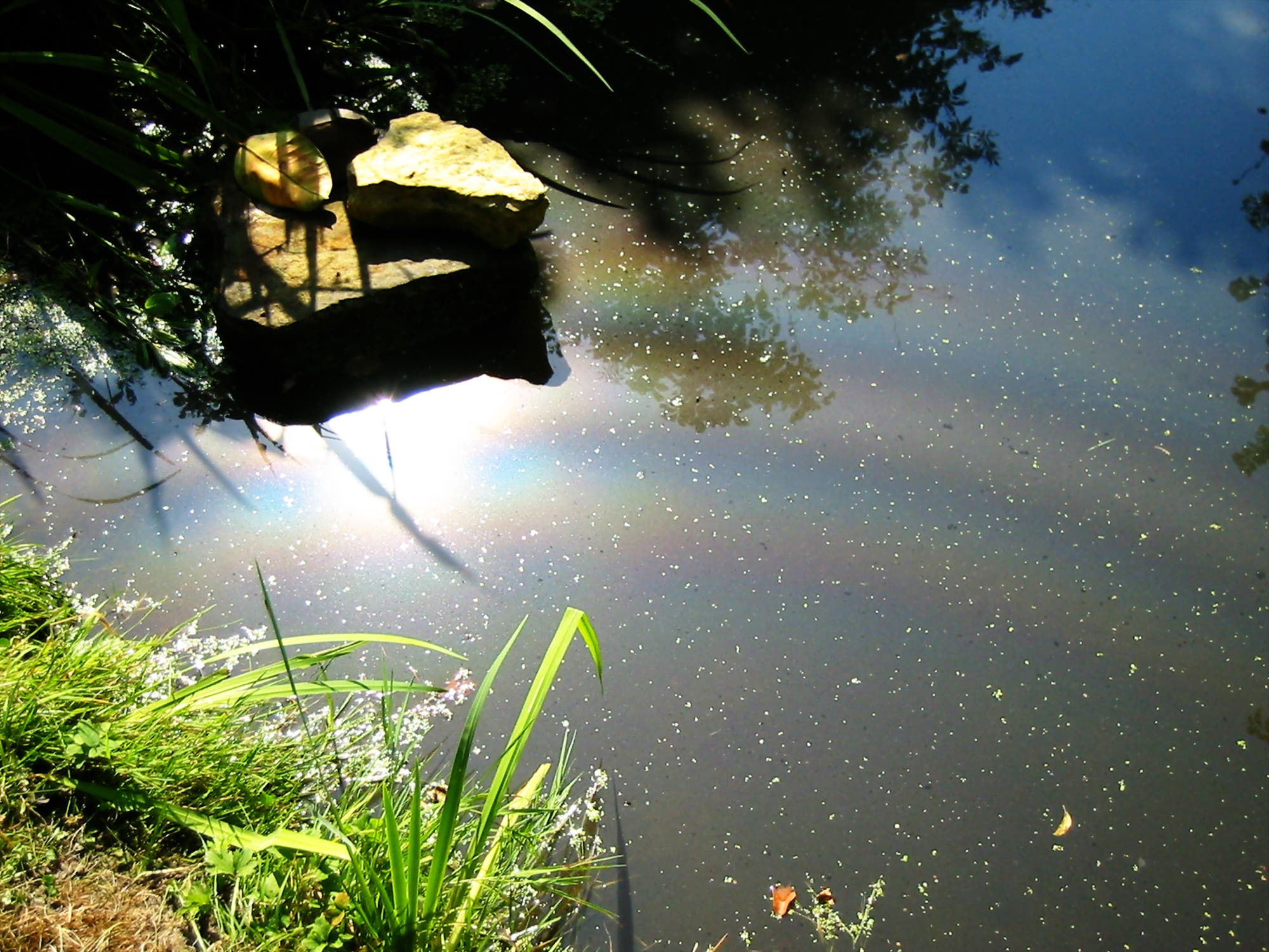 Sonnenreflex liegt auf einem der Bögen, die sich um ein fiktives Zentrum außerhalb des Teichs krümmen