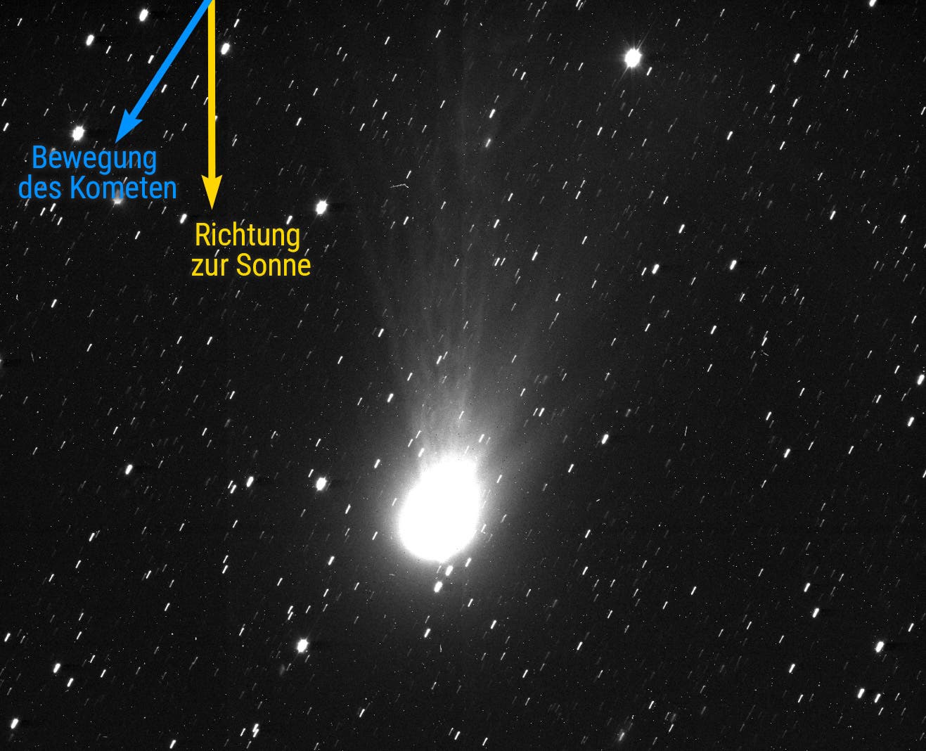 Ein astronomisches Bild zeigt einen Kometen im Weltraum, umgeben von zahlreichen Sternen. Der Komet hat einen hellen Kern und einen diffusen Schweif, der nach oben verl&auml;uft. Zwei Pfeile sind im Bild zu sehen: Ein blauer Pfeil mit der Beschriftung "Bewegung des Kometen" zeigt nach links oben, w&auml;hrend ein gelber Pfeil mit der Beschriftung "Richtung zur Sonne" nach unten zeigt. Das Bild veranschaulicht die Bewegungsrichtung des Kometen relativ zur Sonne.