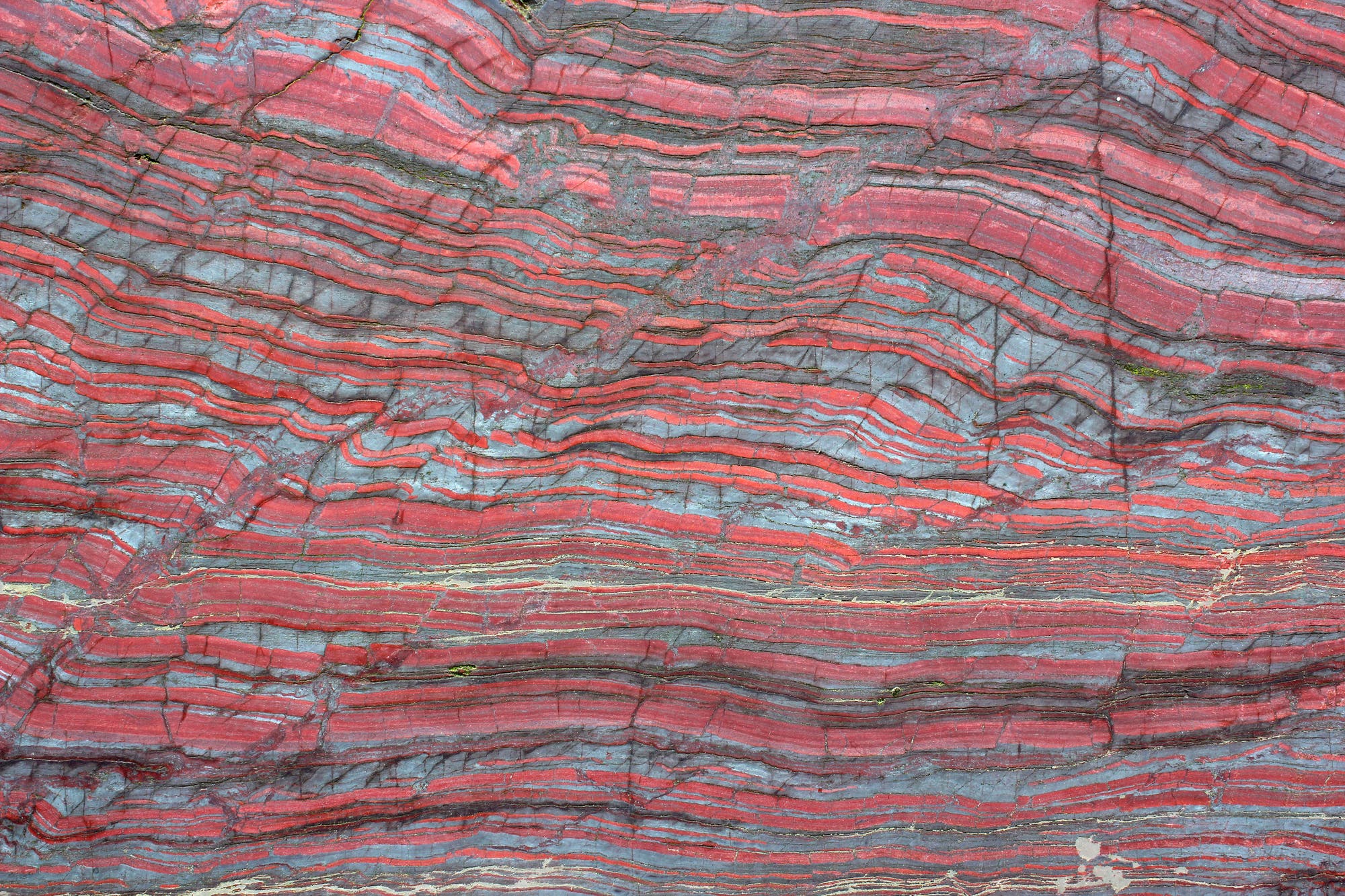 Nordamerikanisches Bändereisenerz; rot-schwarz gebändertes Sediment
