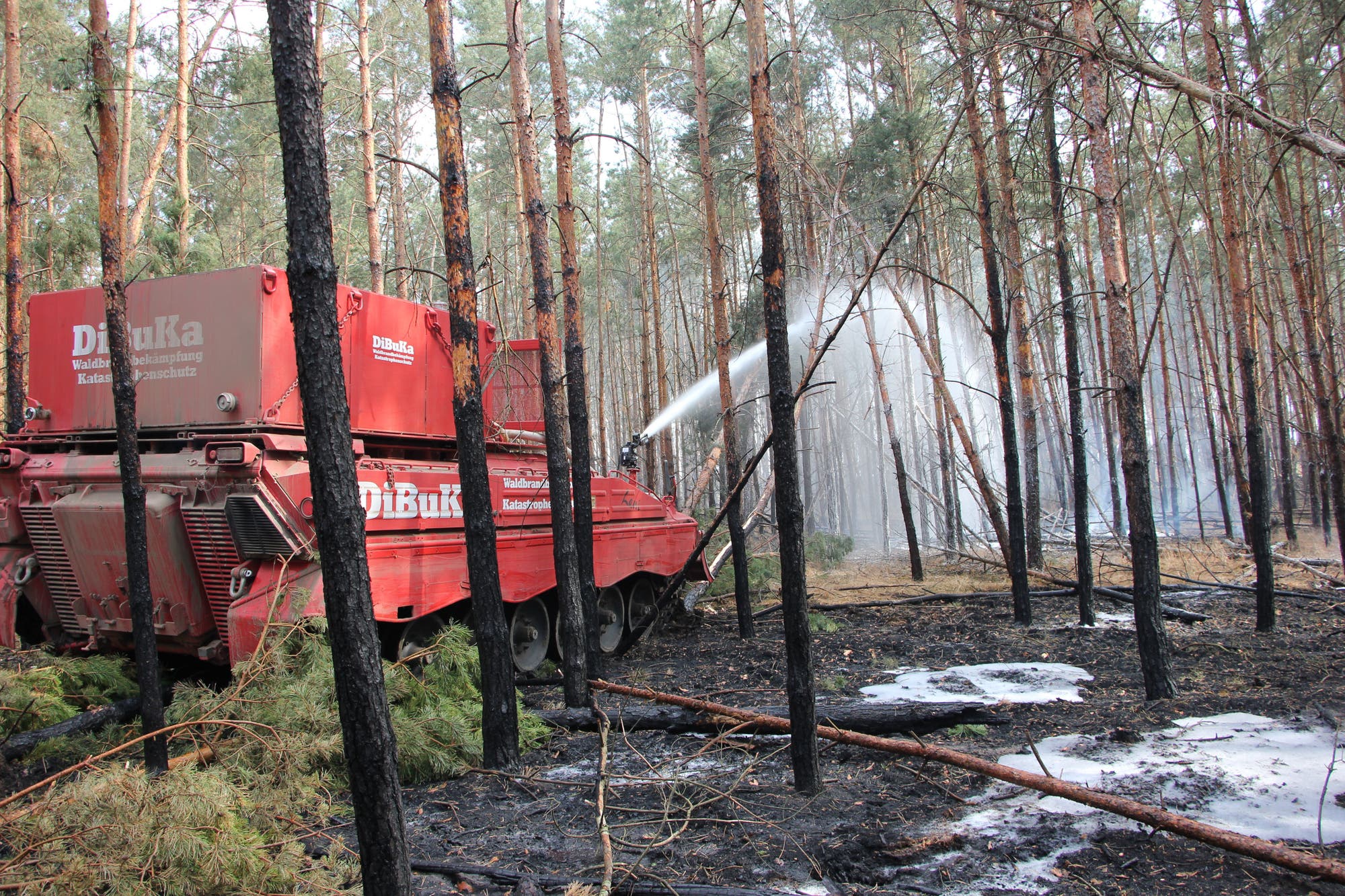 Roter Löschpanzer fährt durch angebrannten Wald