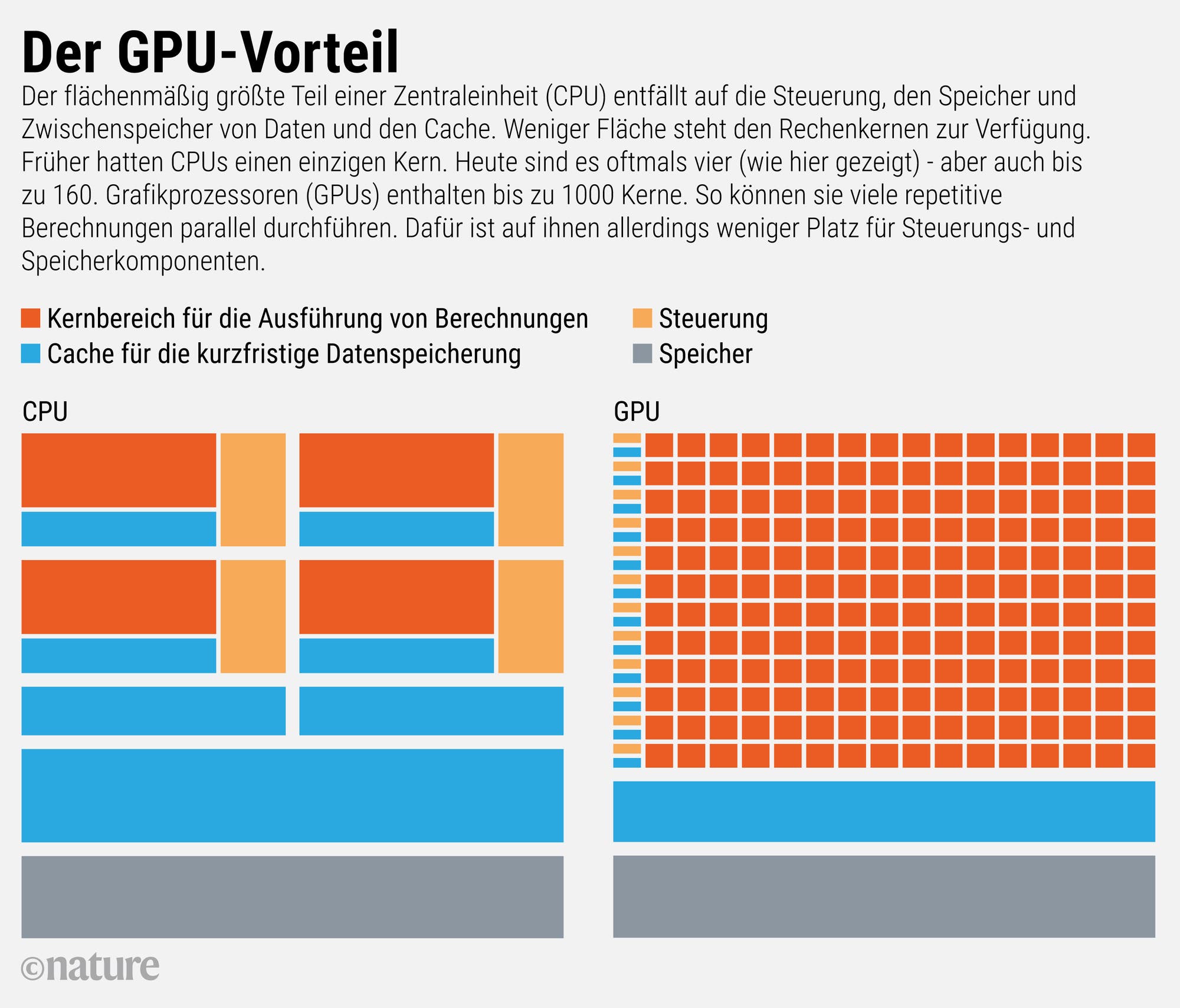 Der flächenmäßig größte Teil einer Zentraleinheit (CPU) entfällt auf die Steuerung, den Speicher und Zwischenspeicher von Daten und den Cache. Weniger Fläche steht den Rechenkernen zur Verfügung. Früher hatten CPUs einen einzigen Kern. Heute sind es oftmals vier (wie hier gezeigt) – aber auch bis zu 160. Grafikprozessoren (GPUs) enthalten bis zu tausend Kerne. So können sie viele repetitive Berechnungen parallel durchführen. Dafür ist auf ihnen allerdings weniger Platz für Steuerungs- und Speicherkomponenten.