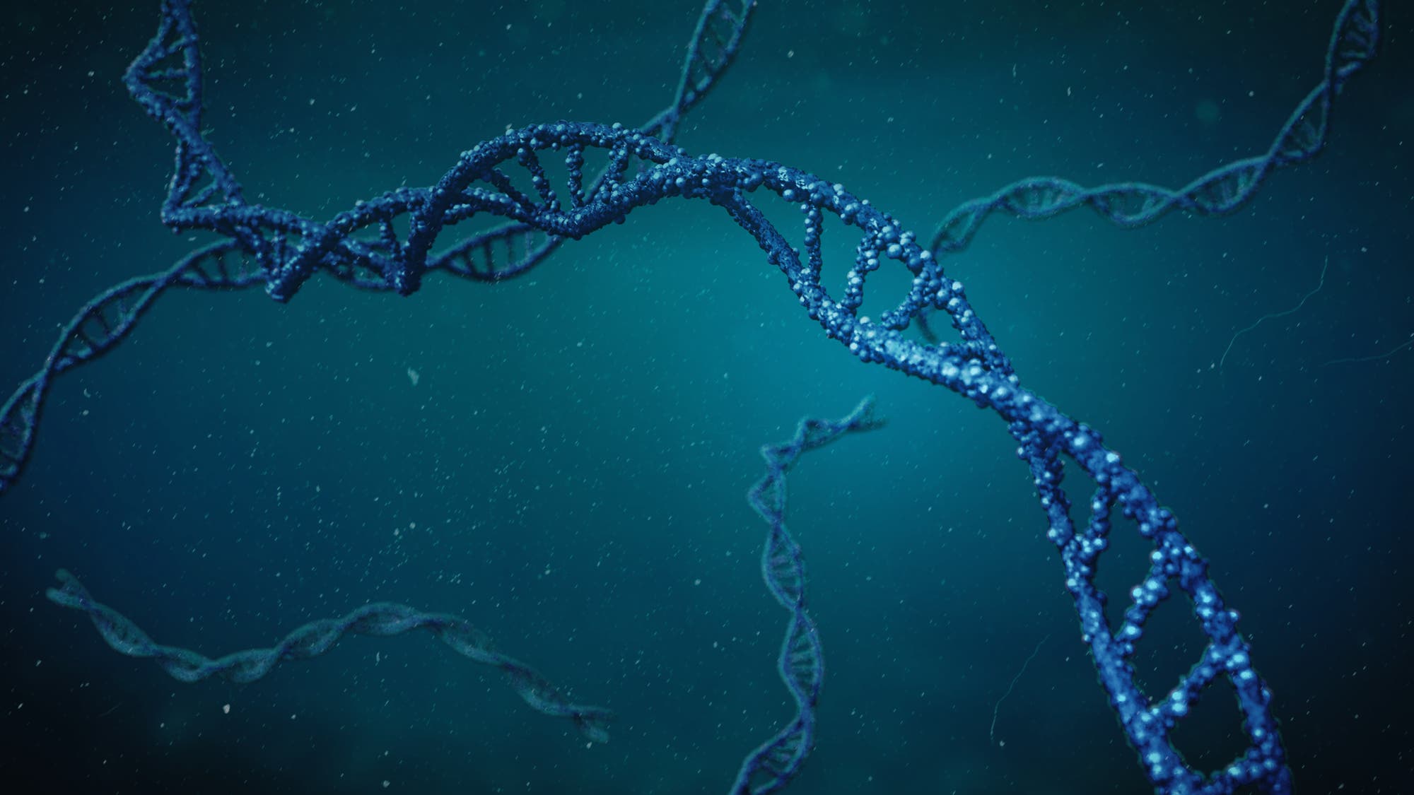 Eine Nahaufnahme von mehreren DNA-Strängen, die in einem blauen, verschwommenen Hintergrund schweben. Die DNA-Stränge sind detailliert und zeigen die charakteristische Doppelhelixstruktur. Es gibt keine sichtbaren Texte oder Menschen im Bild.