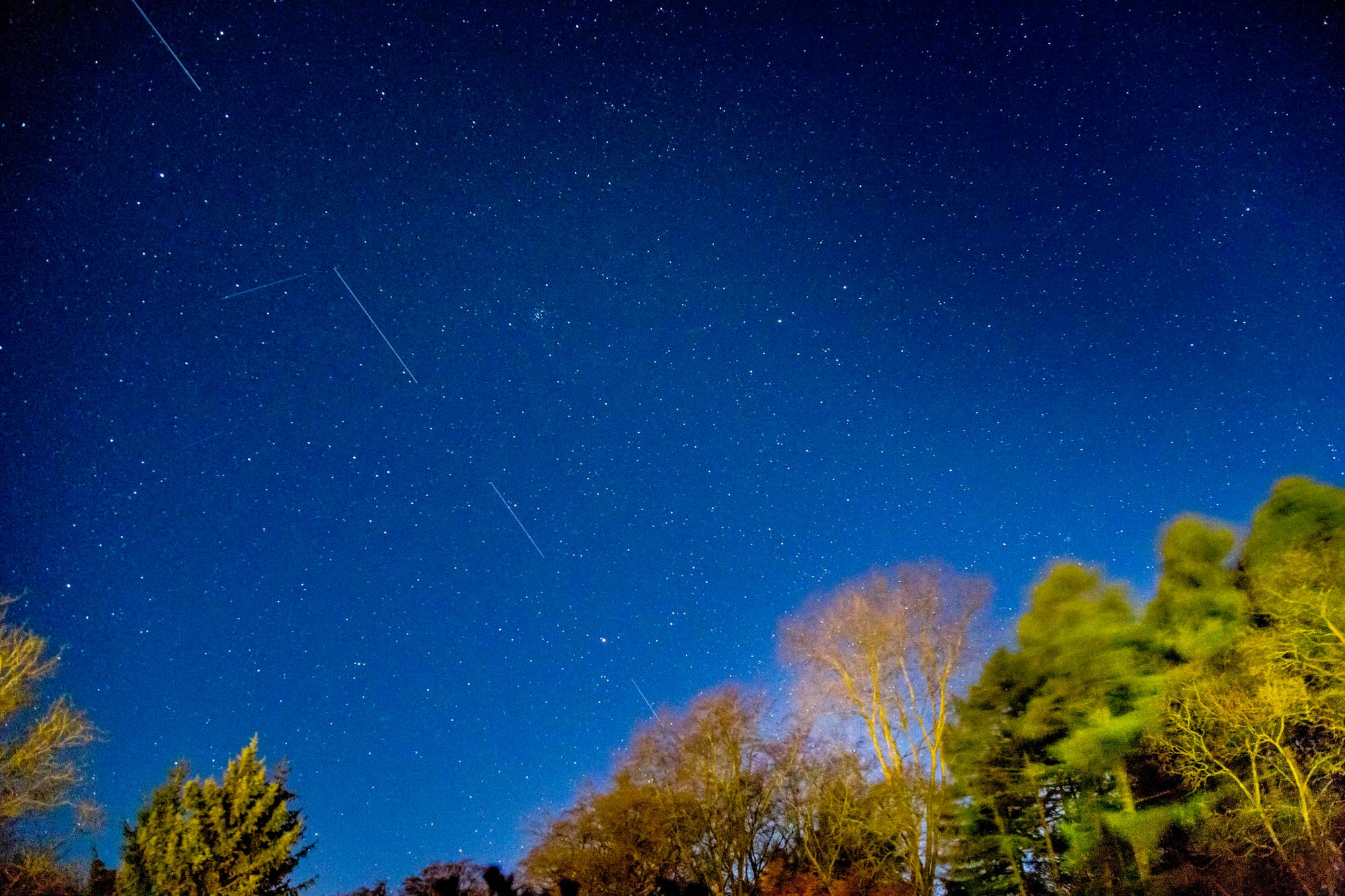 Ein klarer Nachthimmel voller Sterne, durchzogen von mehreren Lichtspuren, die auf Satelliten des Starlink-Netzwerks hindeuten. Im Vordergrund sind die Silhouetten von Bäumen zu sehen, die den unteren Rand des Bildes säumen. Die Szene vermittelt eine ruhige, nächtliche Atmosphäre.