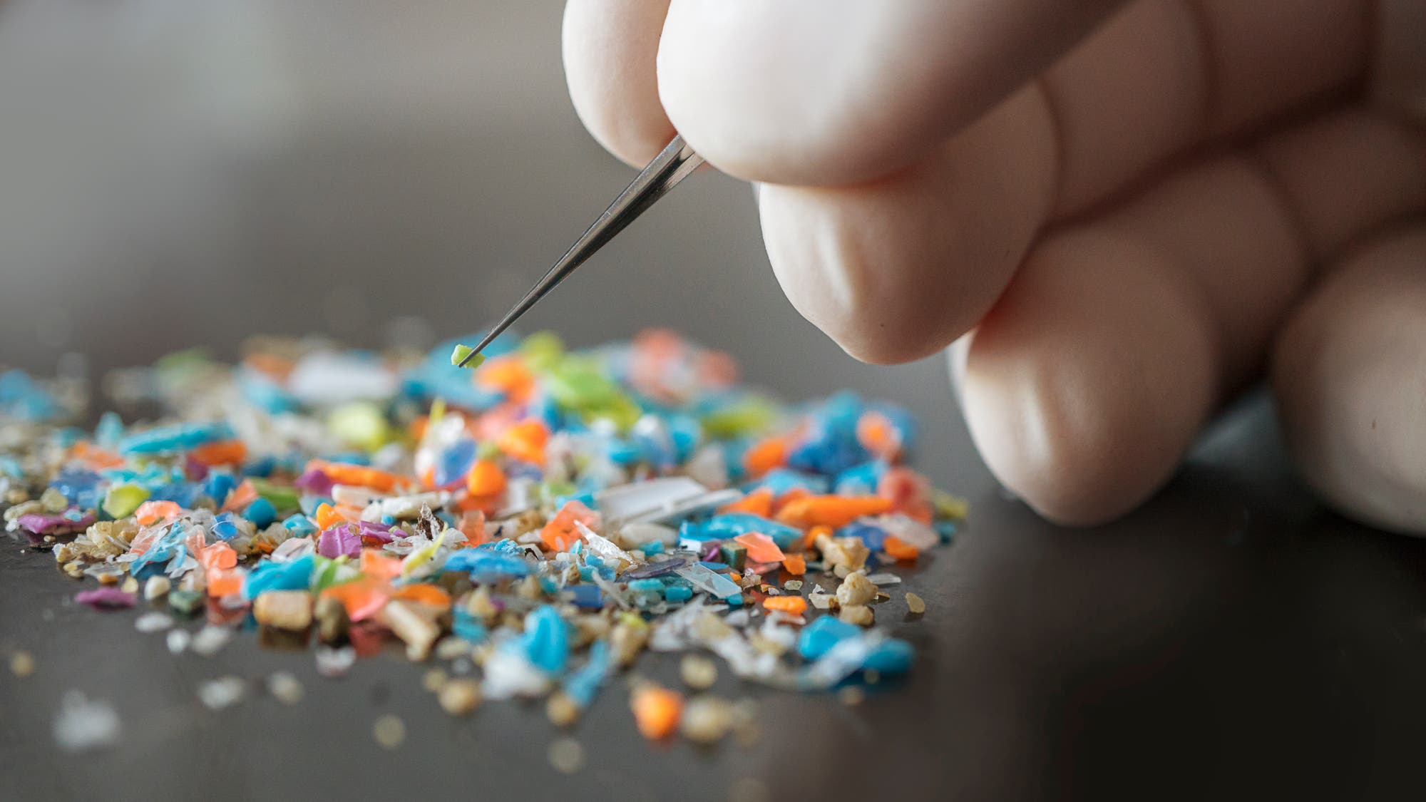 Eine behandschuhte Hand hält eine Pinzette und hebt ein kleines Stück Mikroplastik von einem Haufen bunter Plastikfragmente auf. Die Fragmente liegen auf einer dunklen Oberfläche und sind in verschiedenen Farben wie Blau, Orange und Grün. 
