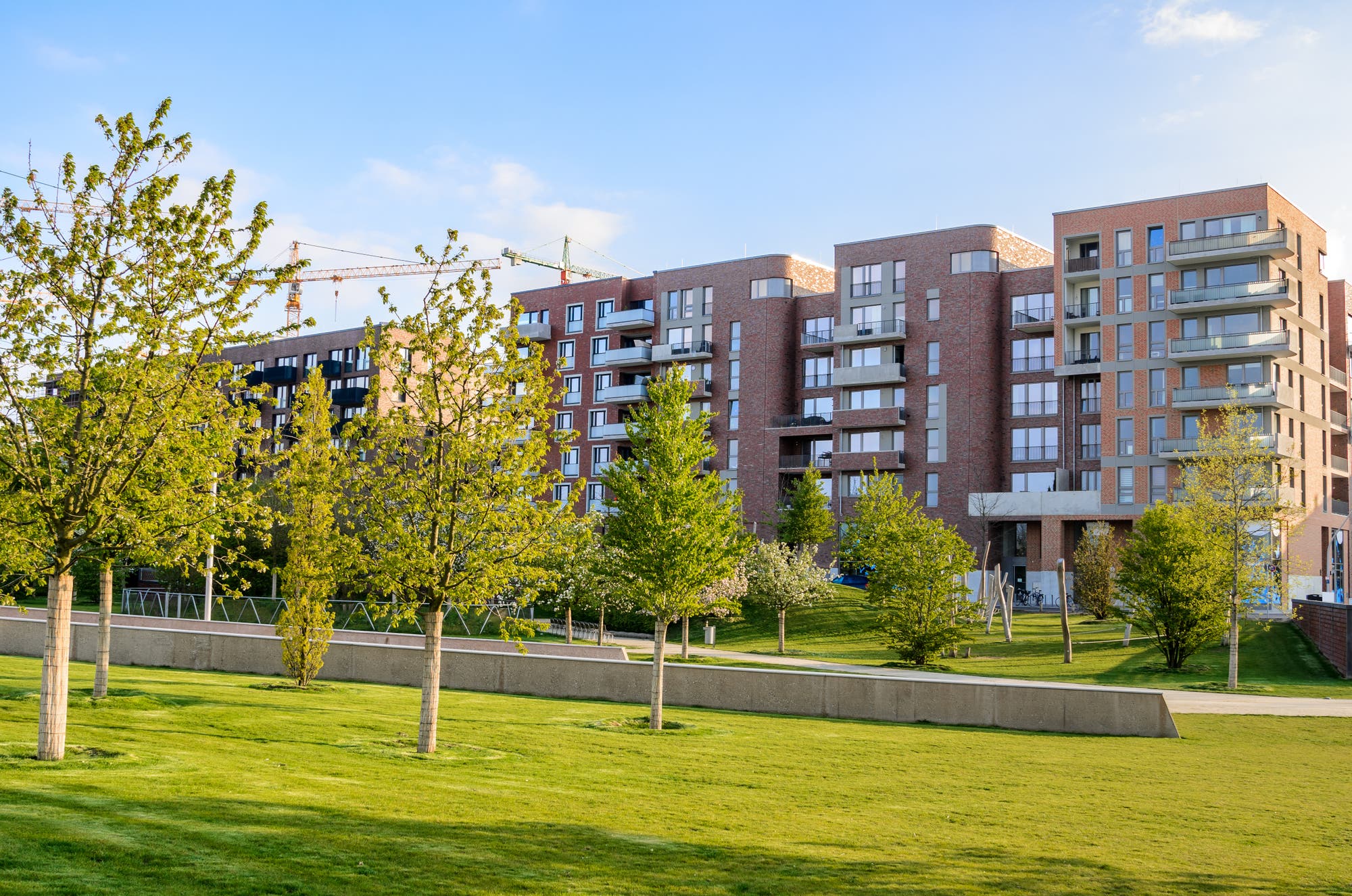 Ein Park mit jungen Bäumen vor neuen Wohnblocks.