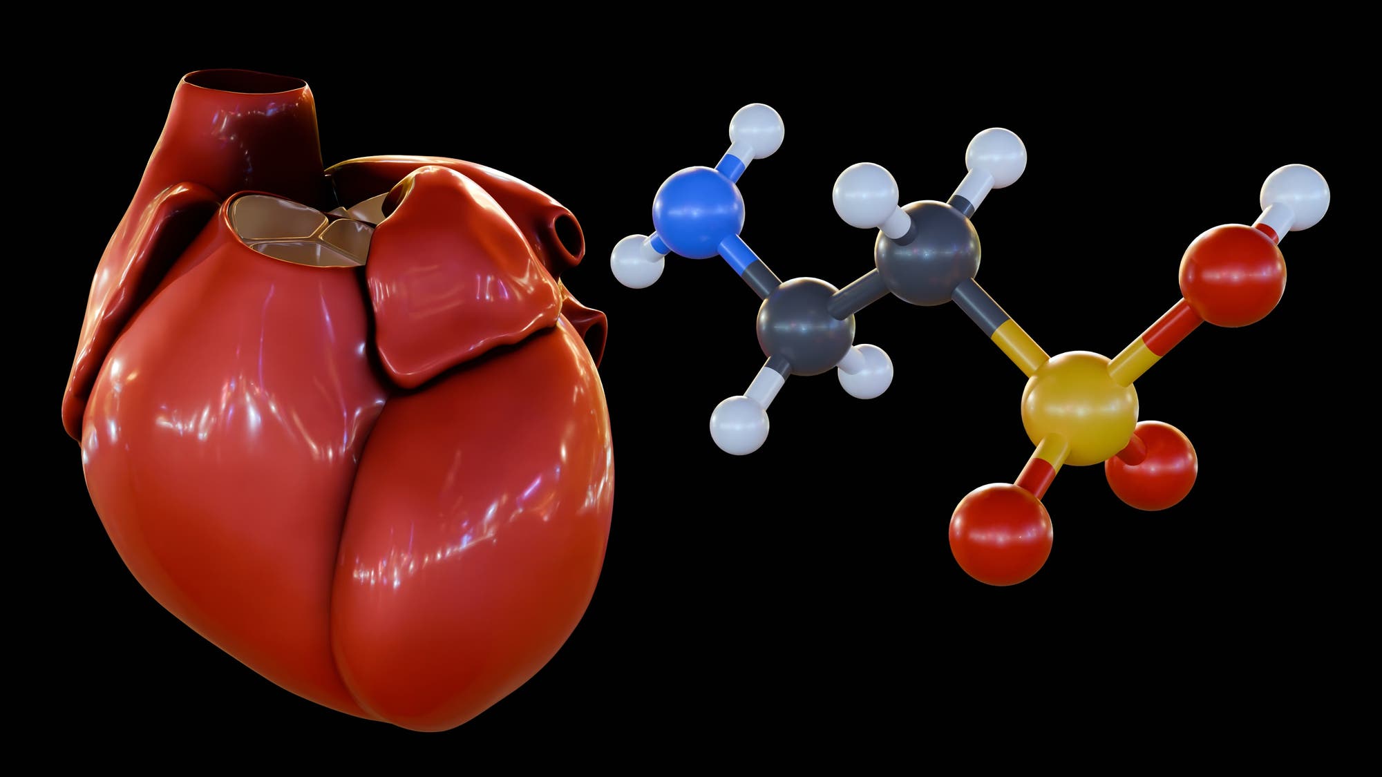 3D-Darstellung eines menschlichen Herzens neben einem Molekülmodell von Taurin. Das Herz ist detailliert und anatomisch korrekt dargestellt, während das Molekül aus verschiedenfarbigen Kugeln besteht, die Atome repräsentieren. Die Kugeln sind durch Stäbe verbunden, die chemische Bindungen symbolisieren. Der Hintergrund ist schwarz, um die Objekte hervorzuheben.