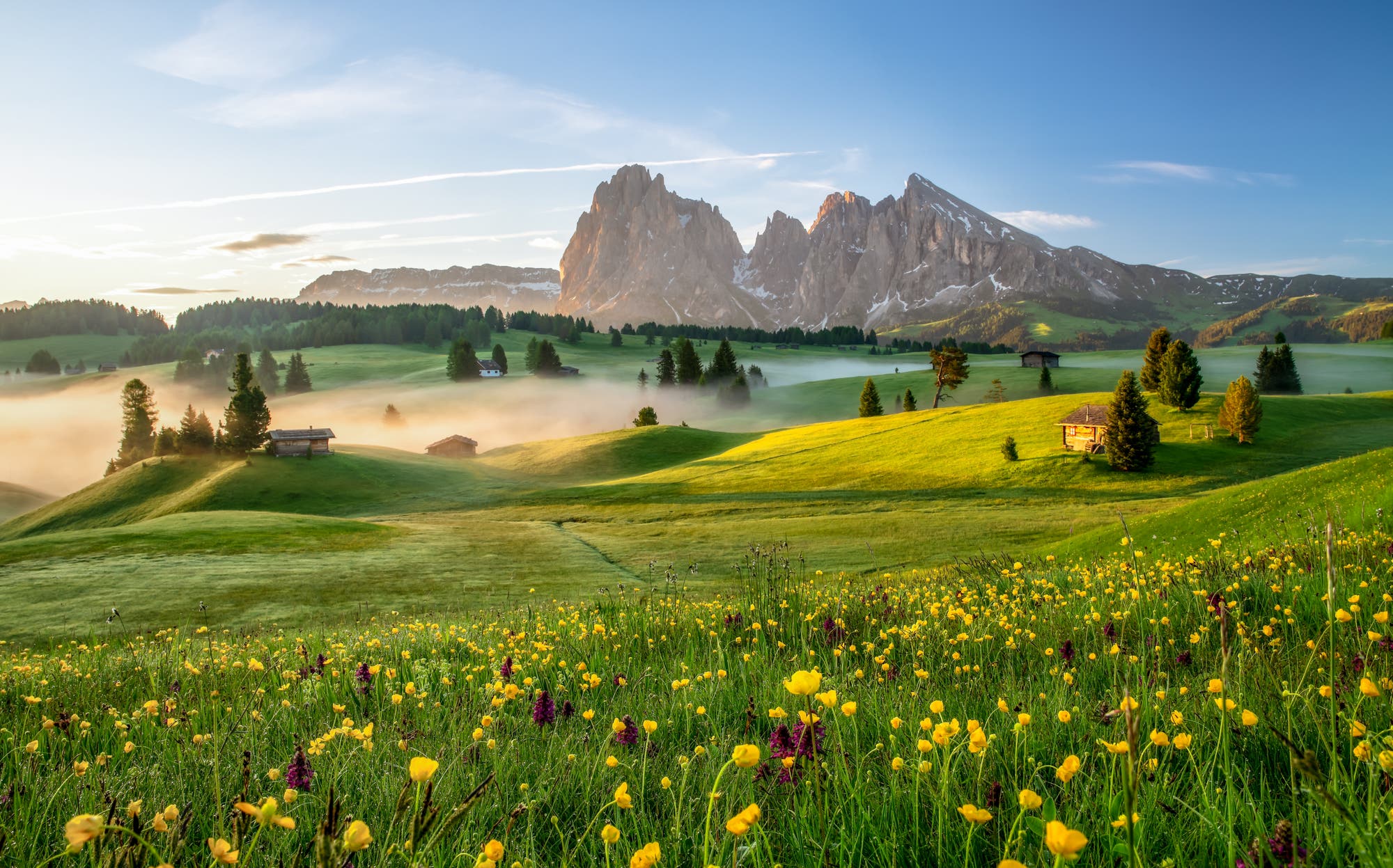 Eine malerische Landschaft in den Dolomiten bei Sonnenaufgang. Im Vordergrund blühen gelbe und violette Wildblumen auf einer grünen Wiese. Nebel schwebt über sanften Hügeln, auf denen verstreut kleine Holzhütten stehen. Im Hintergrund ragen beeindruckende, schroffe Berggipfel in den klaren blauen Himmel. Die Szene vermittelt Ruhe und natürliche Schönheit.