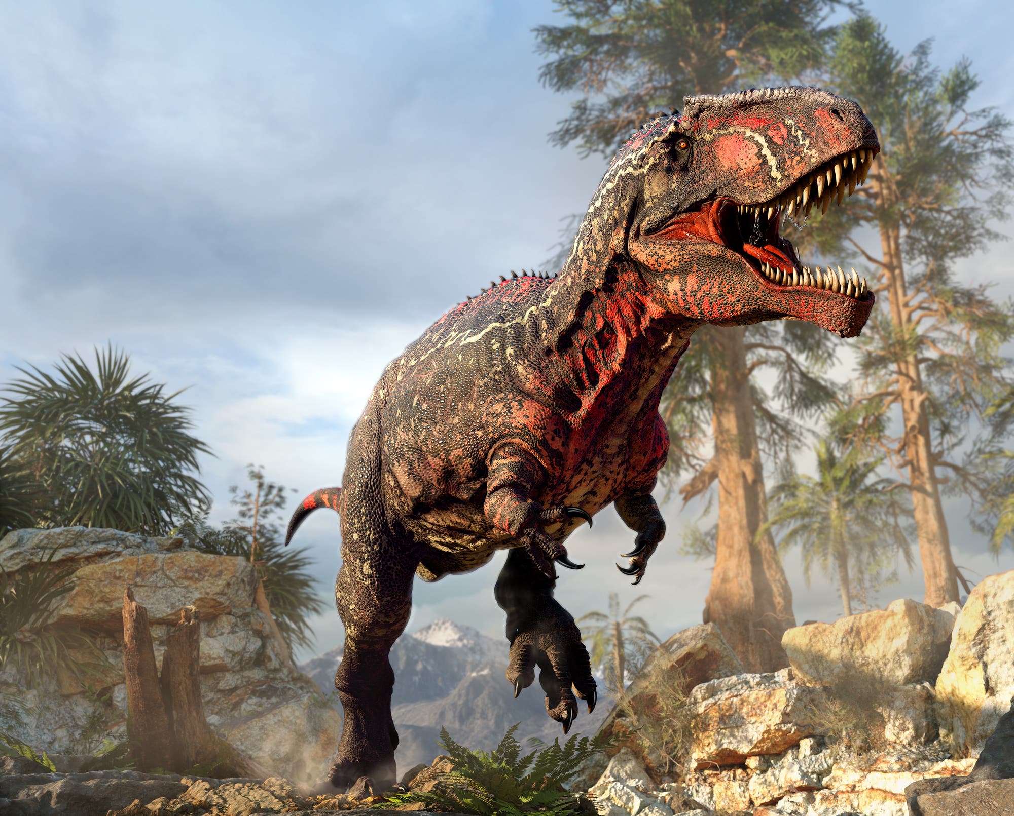 Der Giganotosaurus ist einer der größten bekannten landlebenden Fleischfresser der Erdgeschichte.