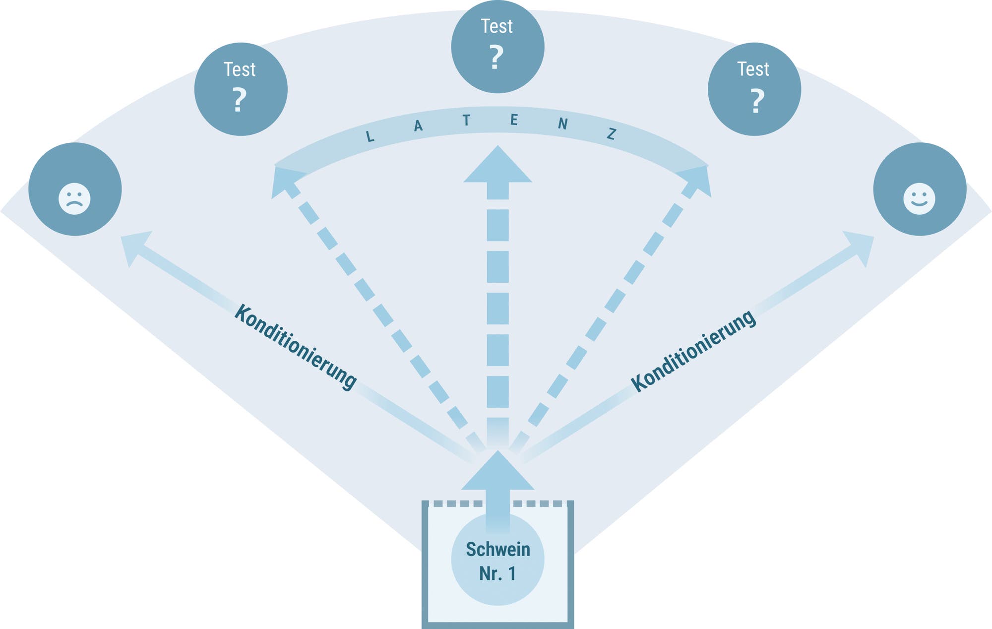 Diagramm zur Darstellung eines Konditionierungsprozesses bei einem Schwein, das unten in der Mitte abgebildet ist. Zwei Pfeile zeigen von diesem Tier nach links und rechts, die mit »Konditionierung« beschriftet sind. Links führt der Pfeil zu einem negativen Ergebnis mit einem traurigen Gesicht und der Beschriftung »negativ«. Rechts führt der Pfeil zu einem positiven Ergebnis mit einem lächelnden Gesicht und der Beschriftung »positiv«. Oben in der Mitte ist ein gebogener Pfeil mit der Beschriftung »Latenz«, der von einem Testpunkt zum anderen führt. Drei Testpunkte sind mit »Test?« markiert.