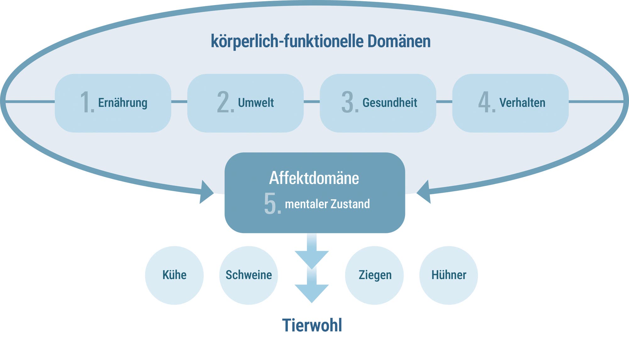 Diagramm zur Darstellung der fünf Domänen des Tierwohls. Die körperlich-funktionellen Domänen umfassen Ernährung, Umwelt, Gesundheit und Verhalten, dargestellt in einem grünen Oval. Die Affektdomäne, dargestellt in einem blauen Oval, bezieht sich auf den mentalen Zustand. Pfeile verbinden die Domänen mit dem Konzept des Tierwohls, das durch Symbole von Tieren wie Kuh, Schaf, Schwein und Huhn repräsentiert wird. Der Text "Animal Welfare" hebt die zentrale Bedeutung dieser Domänen für das Wohlbefinden von Tieren hervor.