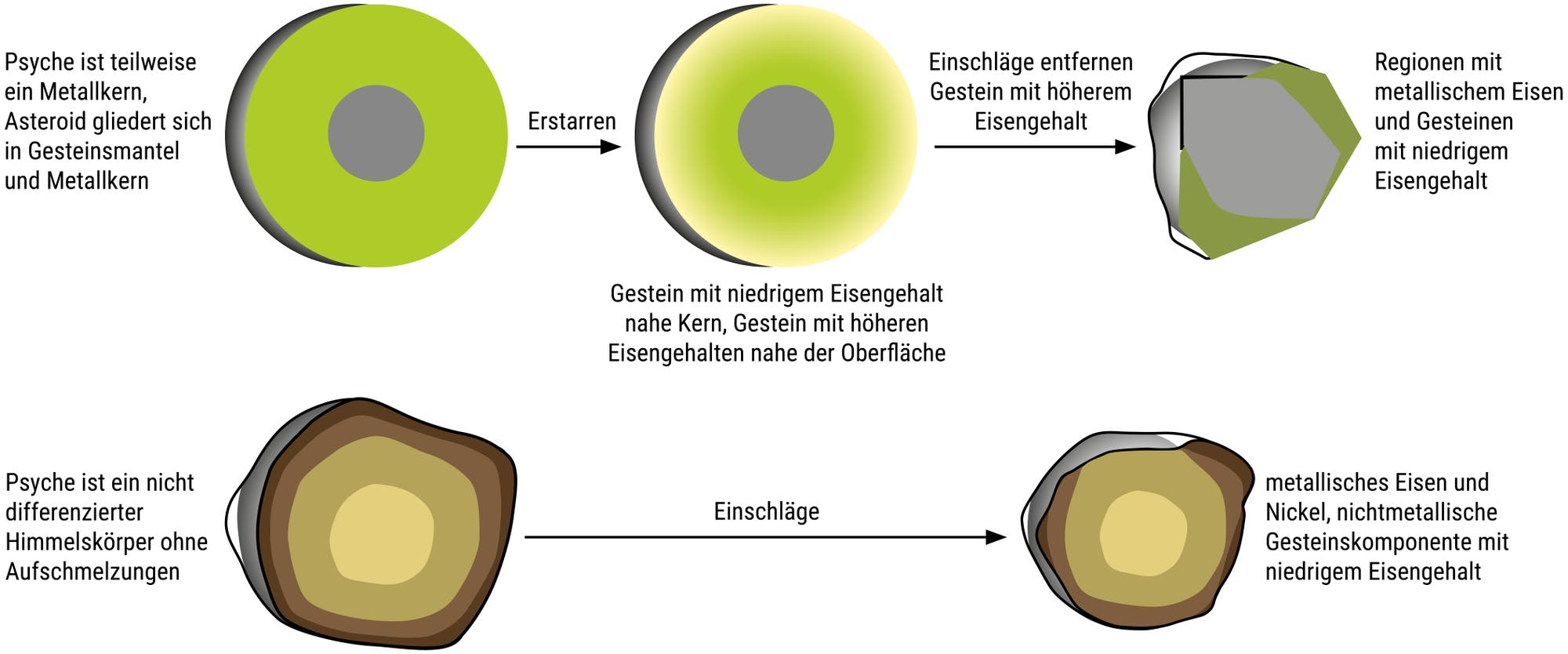 Diagramm zur Entstehung des Asteroiden Psyche mit zwei Hypothesen. Oben: Psyche als teilweise metallischer Kern, ein differenzierter Körper mit achondritischem Gestein und Metallkern. Der Prozess zeigt das Einfrieren und die Auswirkungen, die höheres FeO-Gestein abstreifen, was zu Regionen mit Metallkern und niedrigem FeO-Gestein führt. Unten: Psyche als undifferenziertes Objekt, chondritisches, erhitztes, aber nicht geschmolzenes Material. Auswirkungen führen zu einer Zusammensetzung aus Fe, Ni-Metall und niedrigem FeO-nichtmetallischem Bestandteil. Mögliche Analoga sind Enstatit-Chondrit oder CB, CH, CR Chondrit.