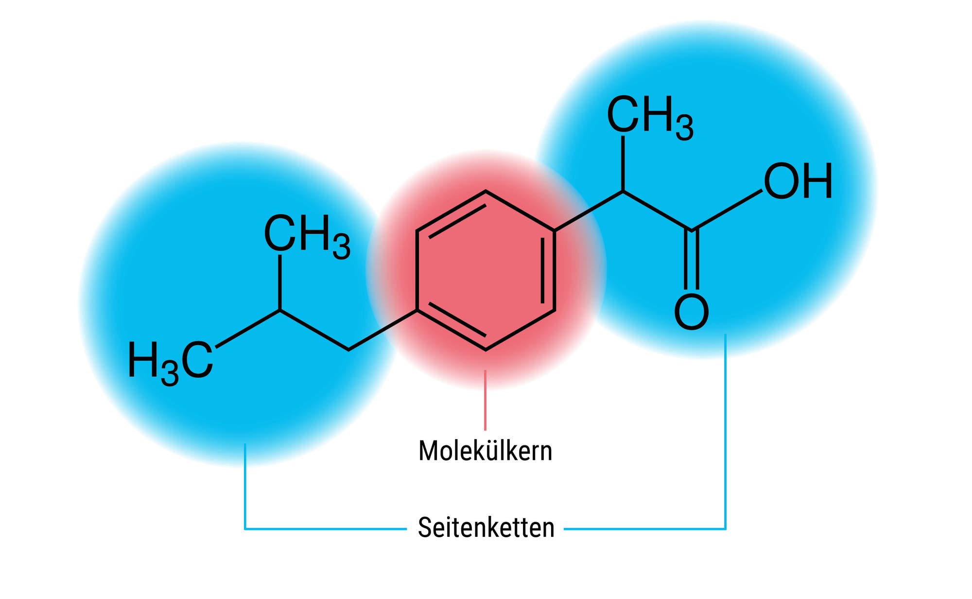 Molekülkern und Seitenketten