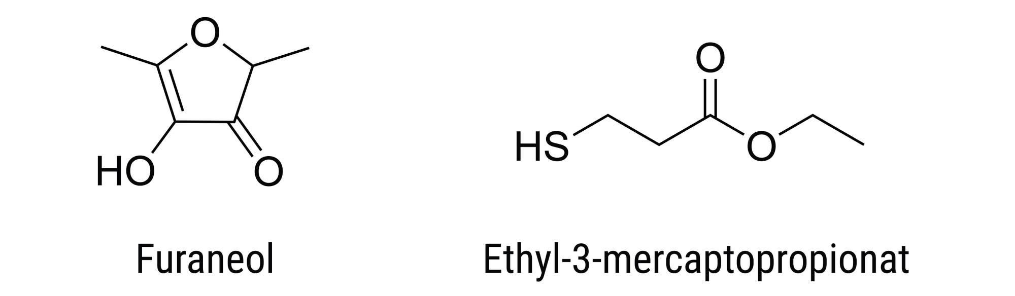 Zwei chemische Strukturen sind gezeigt. Die linke Strukturformel zeigt das Molekül Furaneol, das aus einem fünfgliedrigen Ring mit zwei Methylgruppen, einer Hydroxylgruppe und zwei Carbonylgruppen besteht. Die rechte Formel zeigt Ethyl-3-mercaptopropionat, einen Carbonylester, der eine Thiolgruppe trägt. 