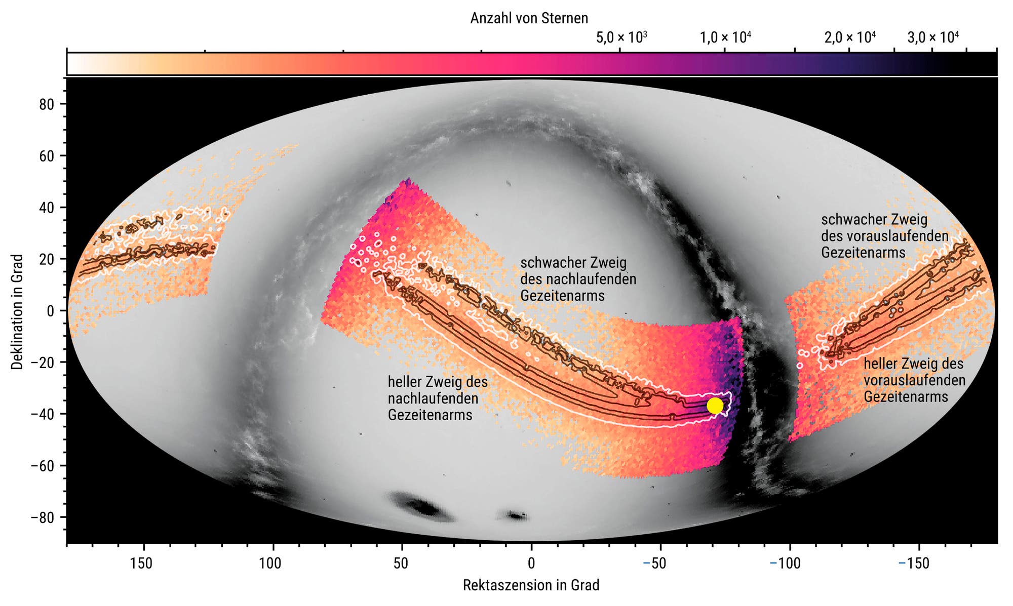 Eine wissenschaftliche Darstellung zeigt eine Himmelskarte mit zwei Diagrammen. Das obere Diagramm ist eine elliptische Projektion mit farbigen Bereichen, die unterschiedliche Sternendichten darstellen. Die Farben reichen von Orange bis Violett, was auf eine Zunahme der Sternendichte hinweist. Beschriftungen wie "Trailing faint", "Trailing bright", "Leading faint" und "Leading bright" markieren spezifische Bereiche. Das untere Diagramm zeigt eine lineare Projektion mit ähnlichen farblichen Markierungen und Achsenbeschriftungen in Grad. Ein Farbverlauf oben zeigt die Zählwerte von 5,0 x 10³ bis 3,0 x 10⁴ an.