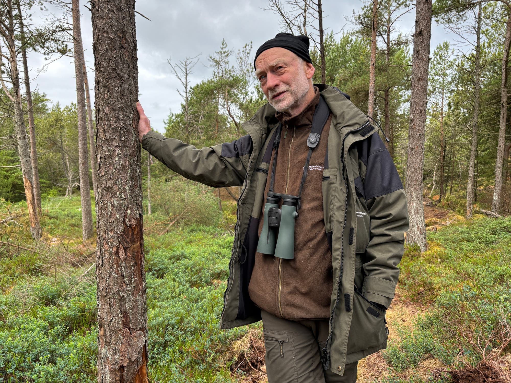 Eine Person steht in einem Wald und lehnt sich an einen Baum. Sie trägt Outdoor-Kleidung und ein Fernglas um den Hals. Der Hintergrund zeigt Bäume und dichtes Unterholz. Der Himmel ist bewölkt. Die Szene vermittelt einen Eindruck von Naturerkundung.
