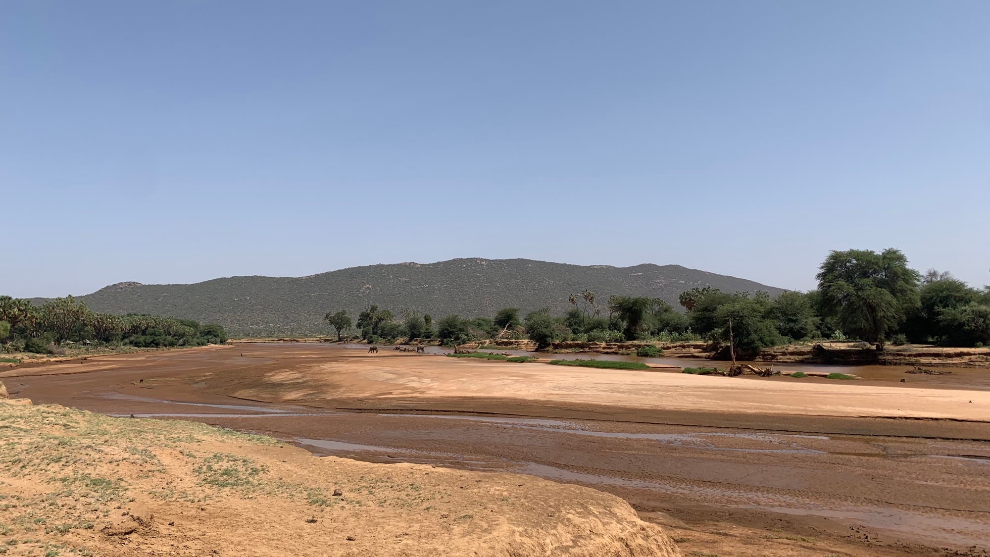 Der Ewaso Ngiro-Fluss teilt die nationalen Schutzgebiete Samburu und Buffalo Springs.