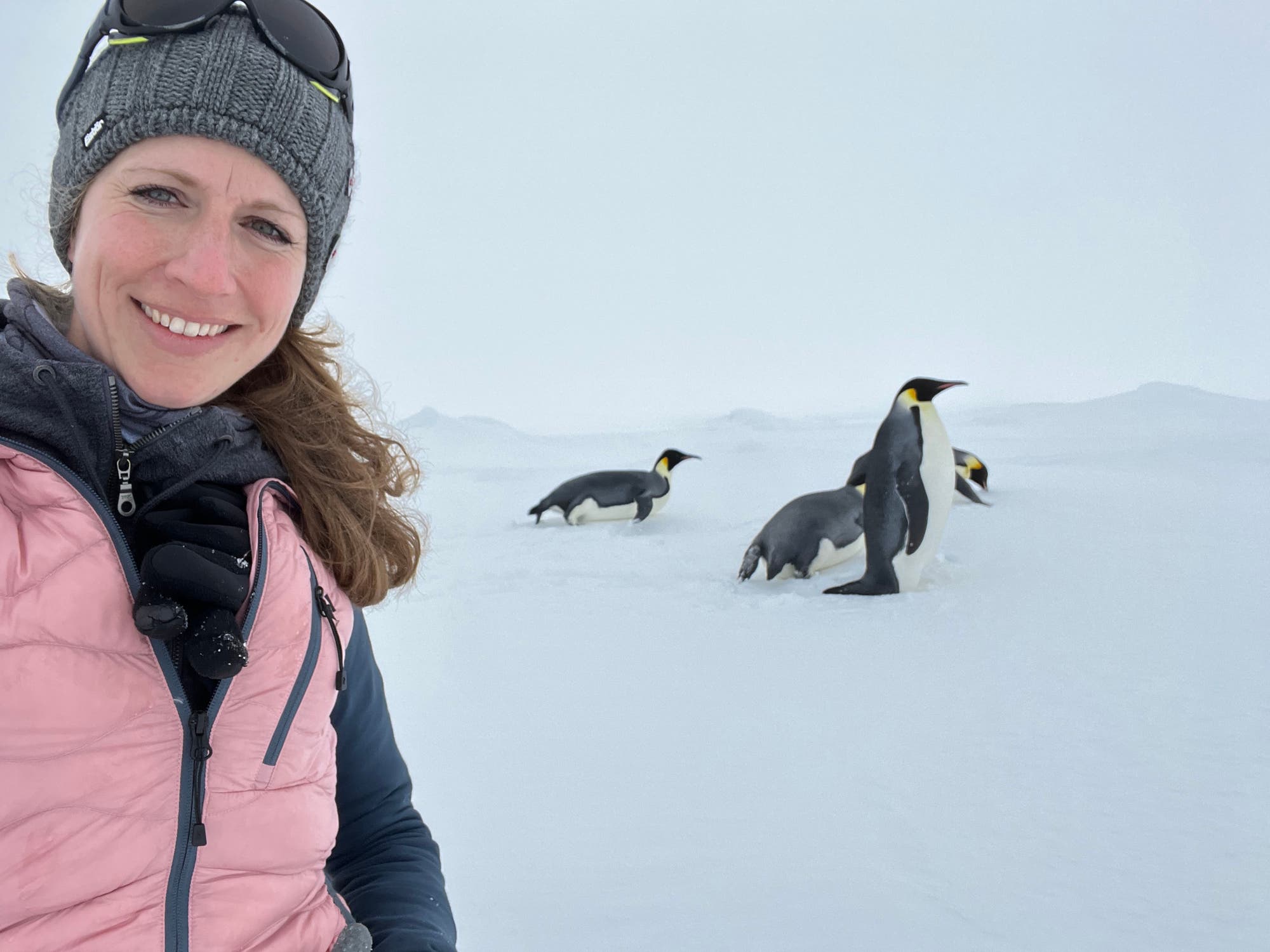 Stefanie Arndt vor mehreren Pinguinen.