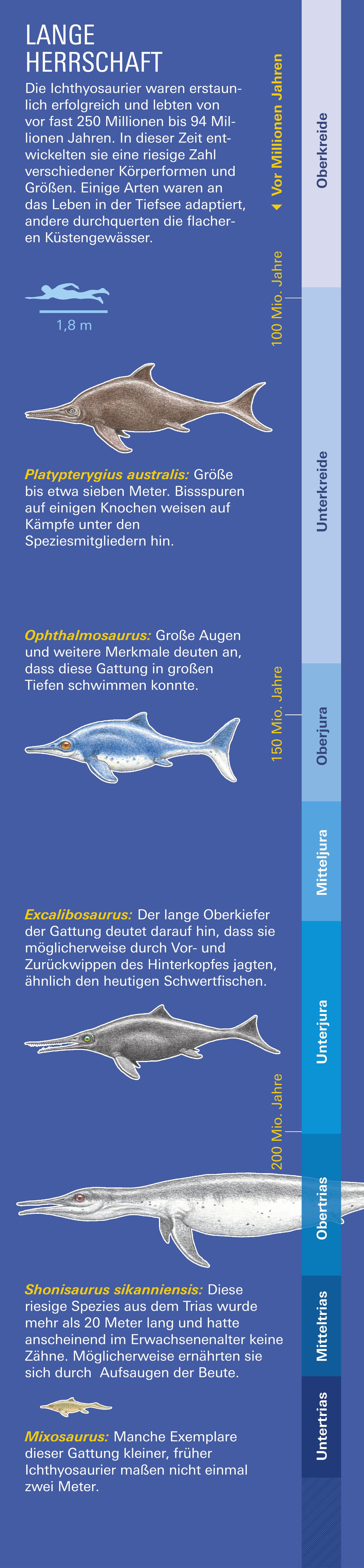 Lange Herrschaft der Ichthyosaurier