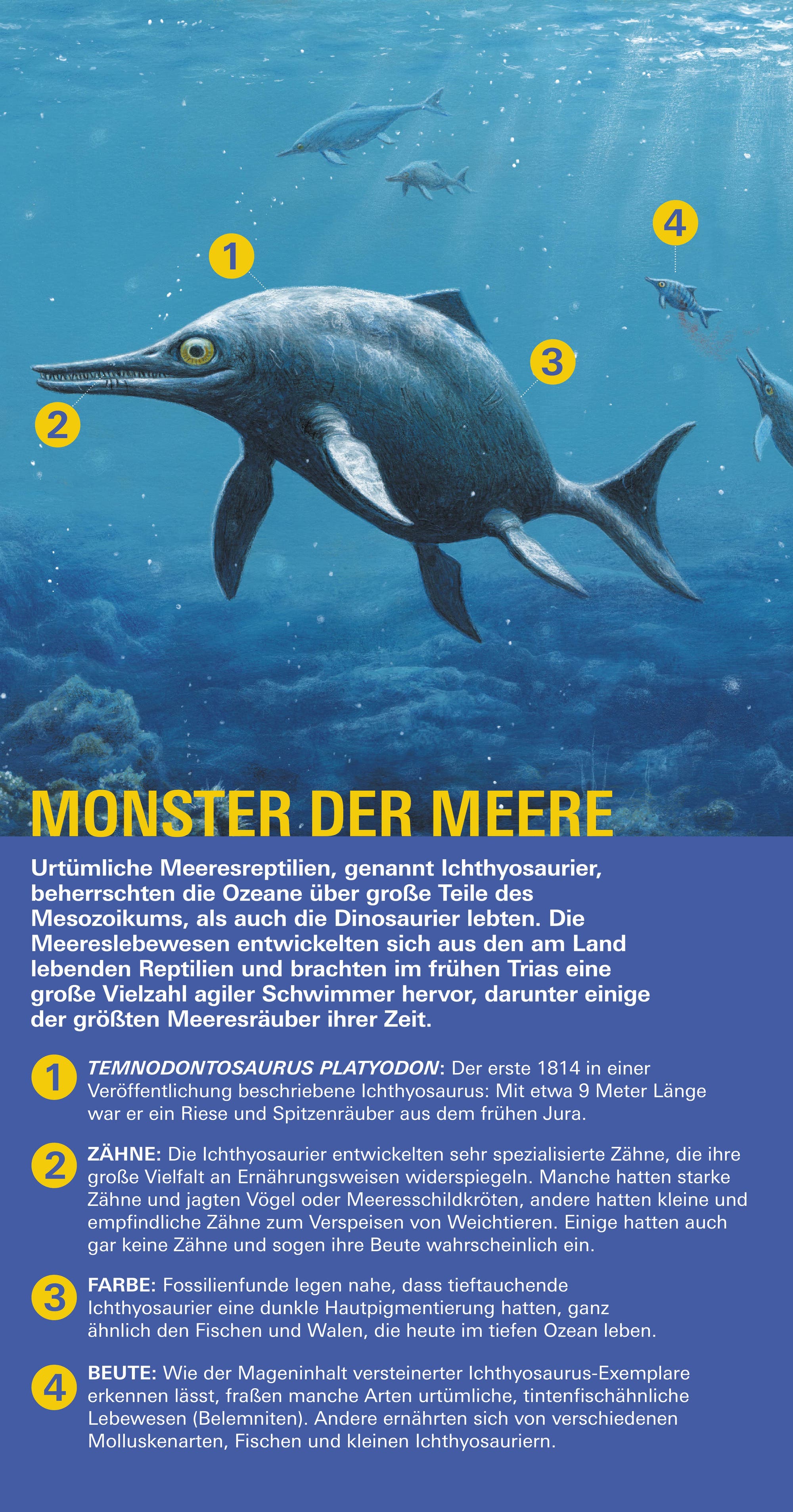 Ichthyosaurier, Monster der Meere