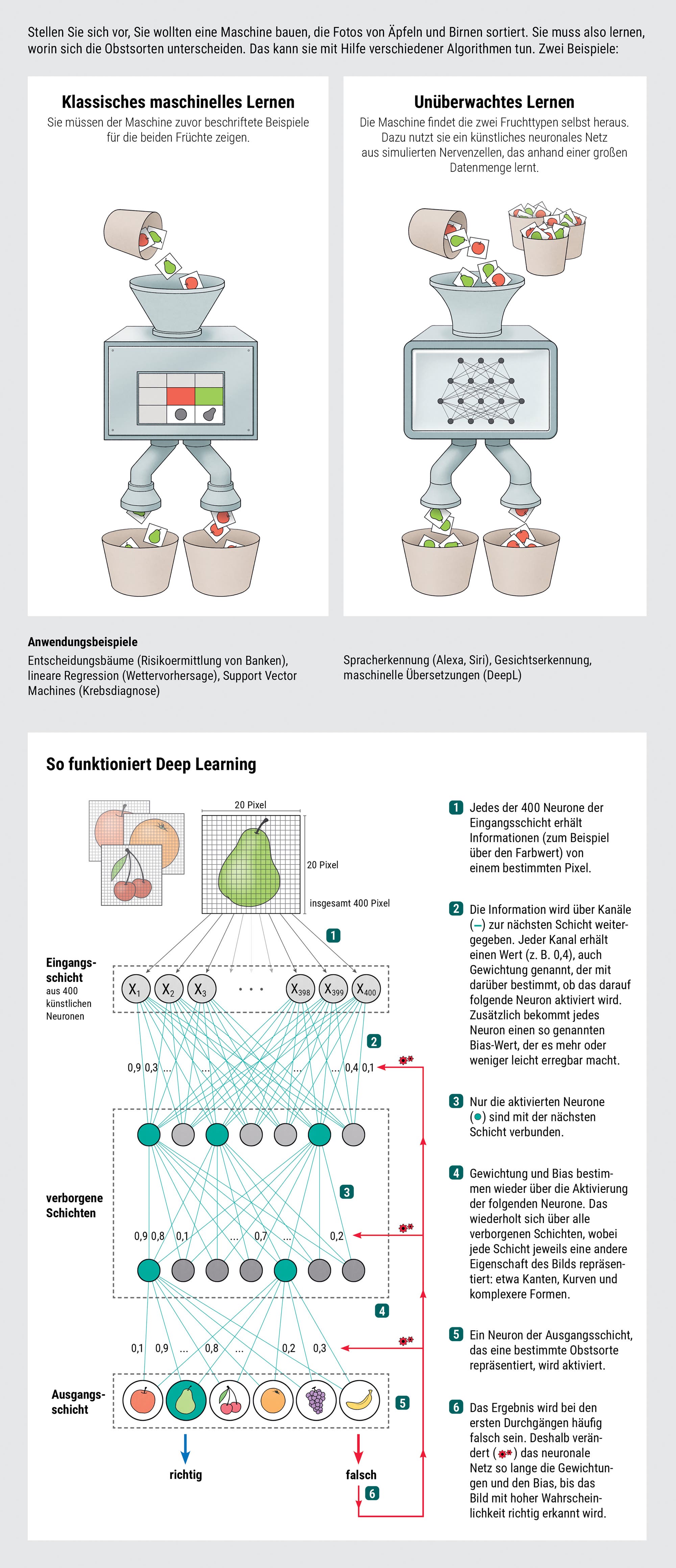 Eine Infografik vergleicht klassisches maschinelles Lernen mit Deep Learning anhand eines Beispiels zur Obstsortierung. Links zeigt das klassische maschinelle Lernen eine Maschine, die Äpfel und Birnen nach vorgegebenen Eigenschaften sortiert. Rechts zeigt das Deep Learning eine Maschine, die selbstständig lernt, indem sie ein künstliches neuronales Netz nutzt. Anwendungsbeispiele sind Entscheidungsbäume und lineare Regression für klassisches Lernen sowie Sprach- und Gesichtserkennung für Deep Learning. Unten wird der Deep-Learning-Prozess detailliert erklärt: Ein Bild wird in Pixel zerlegt, durchläuft mehrere neuronale Schichten, und das System lernt, Objekte korrekt zu klassifizieren. Die Schritte sind nummeriert und beschreiben den Informationsfluss und die Aktivierung der Neurone.