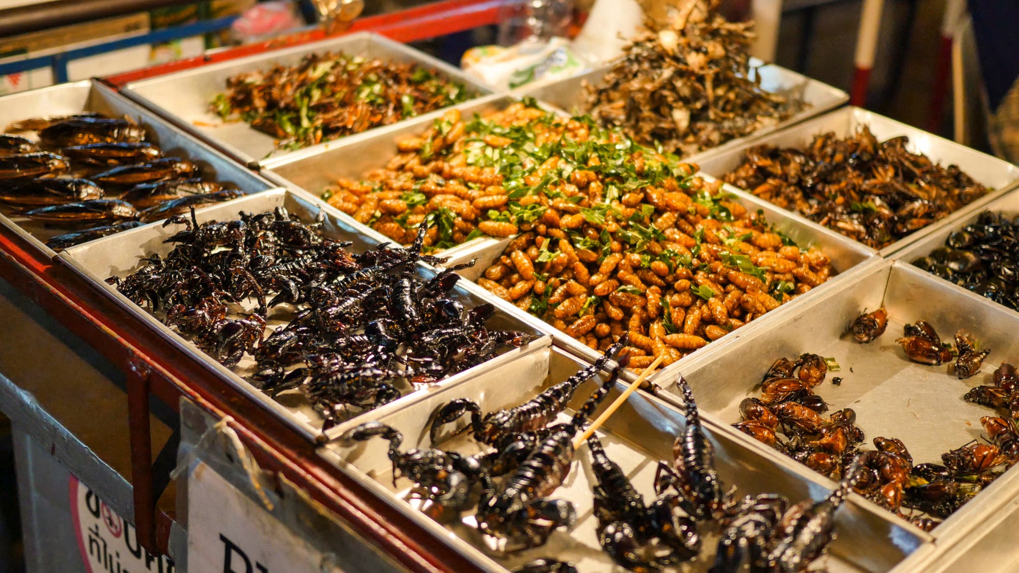 Marktstand mit gerösteten Insekten