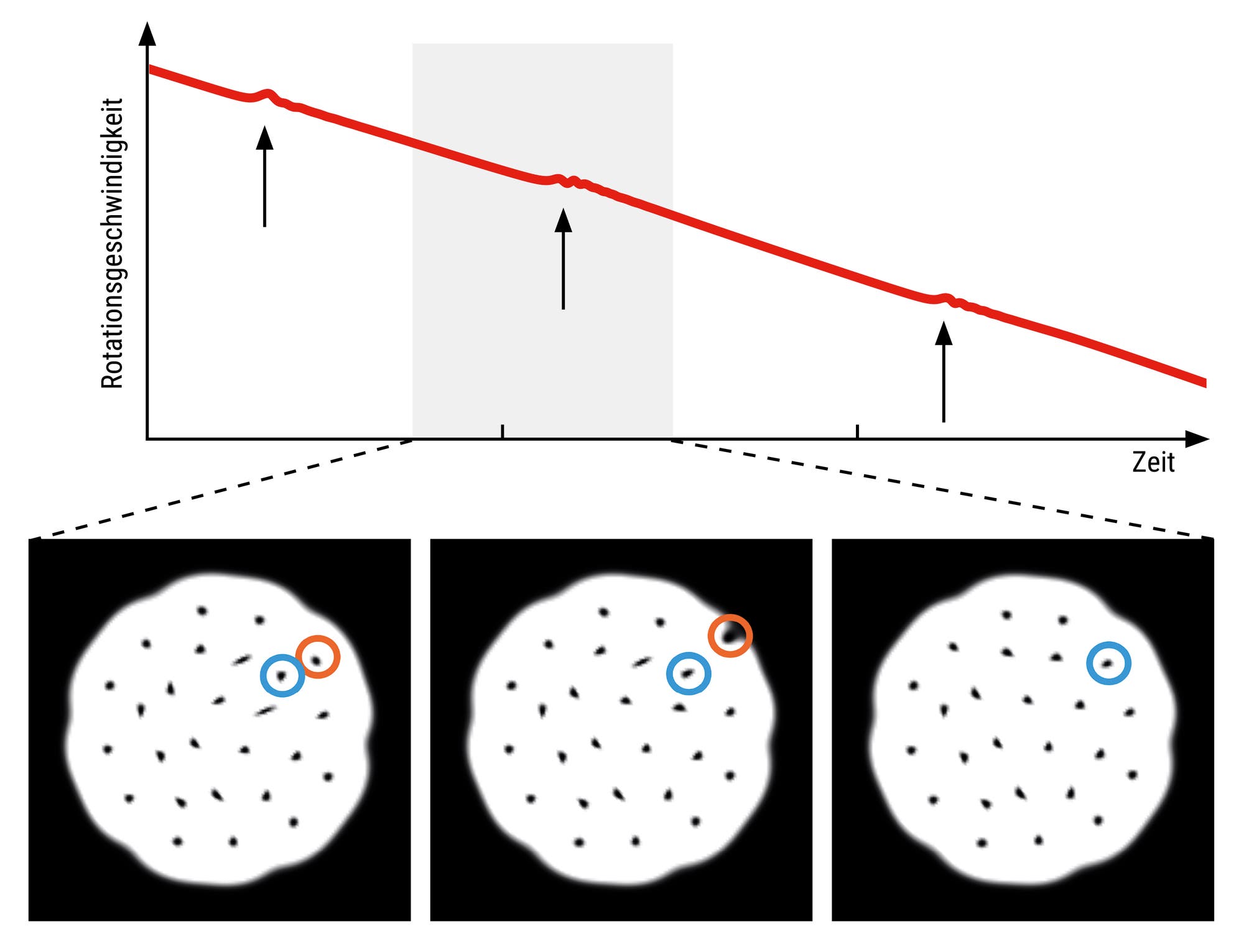 Die Grafik zeigt das Modellsystem zu drei verschiedenen Zeitpunkten, und zwar vor, während und nach einer plötzlichen Änderung der Rotationsgeschwindigkeit.