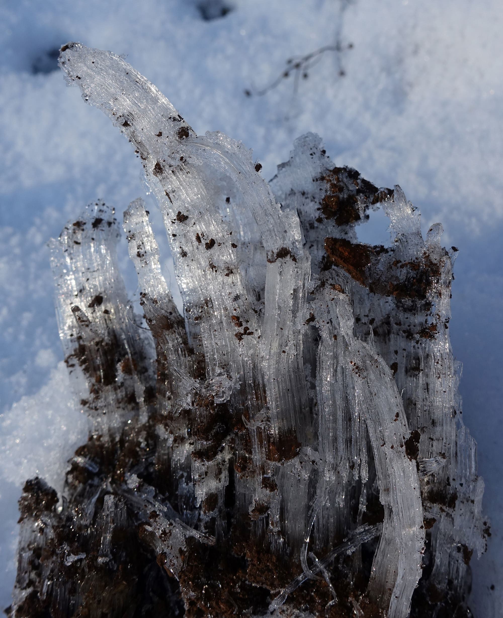 Hills ice columns take chunks of soil with them