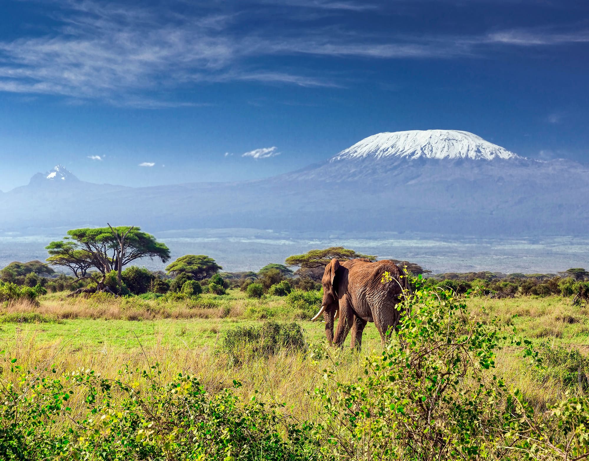 4 Kilimandscharo, Tansania – ein Vulkan wie ein Gebirge