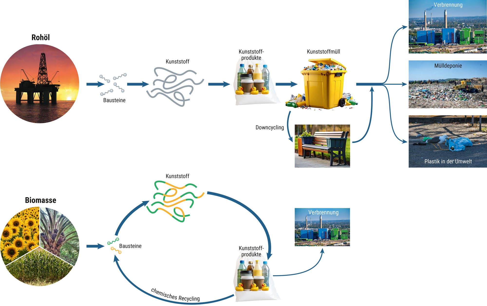 Das Bild zeigt ein Flussdiagramm, das den Lebenszyklus von Kunststoffen aus Rohöl und Biomasse veranschaulicht. Oben links beginnt der Prozess mit Rohöl, das in Bausteine und dann in Kunststoff umgewandelt wird. Diese Kunststoffe werden zu Produkten verarbeitet, die nach Gebrauch zu Kunststoffmüll werden. Der Müll kann verbrannt, auf Deponien gelagert oder in die Umwelt gelangen. Ein alternativer Weg zeigt das Downcycling zu neuen Produkten. Unten links zeigt das Diagramm Biomasse als Ausgangspunkt, die ebenfalls in Bausteine und dann in Kunststoff umgewandelt wird. Diese Kunststoffe können chemisch recycelt werden, um neue Produkte zu erzeugen.
